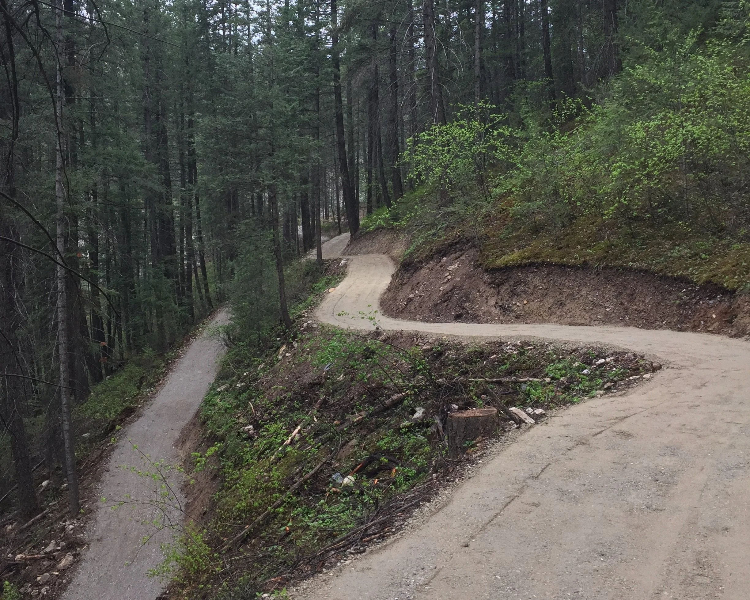 Starr Trail Backcountry Trail | Trail Builders BC