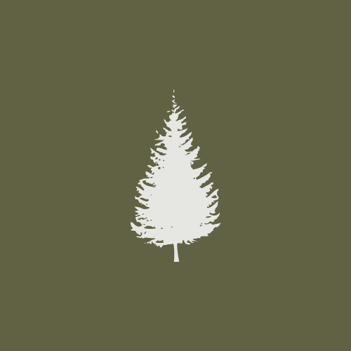 Starr Trail Solutions - Trail Constructions BC