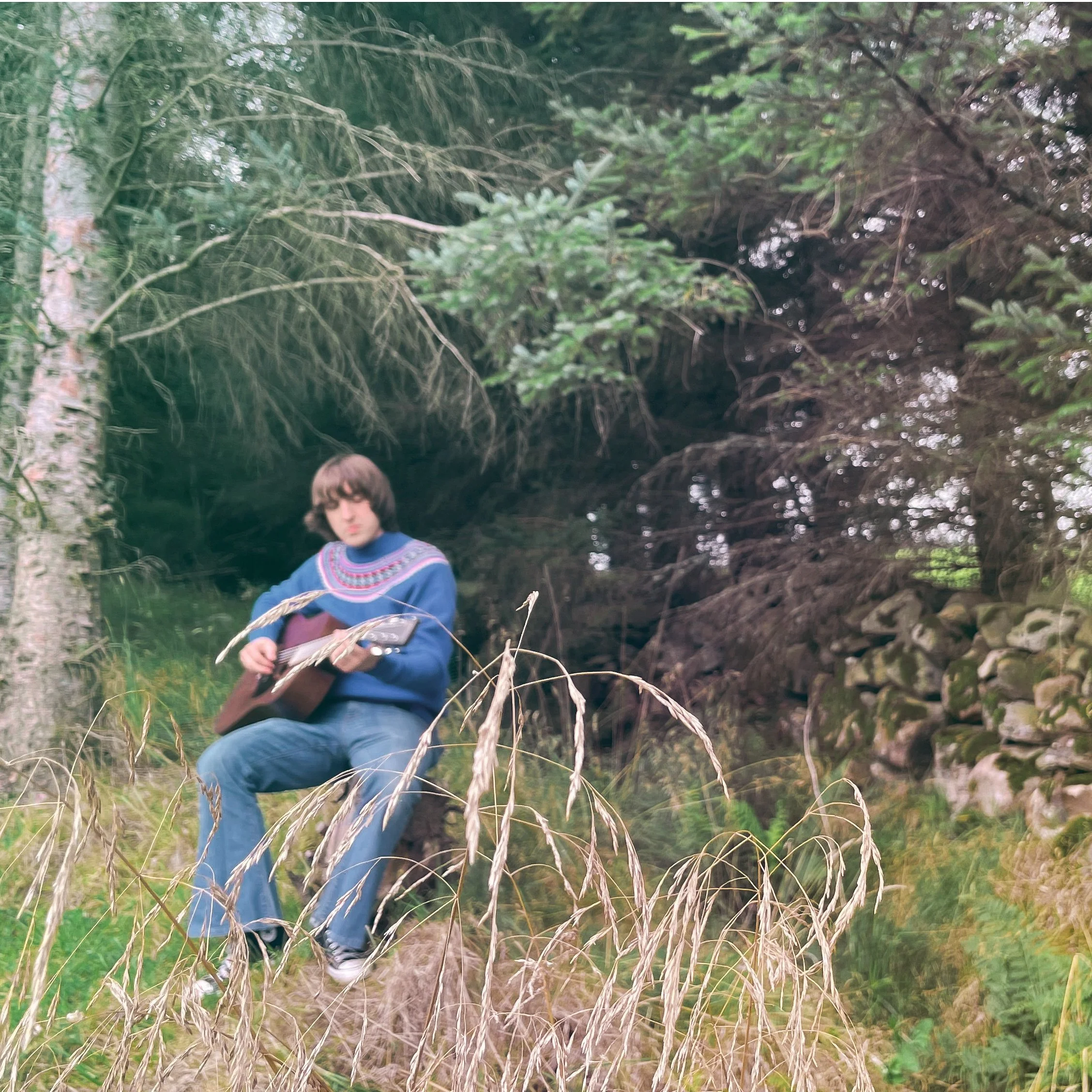 A person with brown hair wearing a colorful sweater and blue jeans crouching among tall grass in a forested area.
