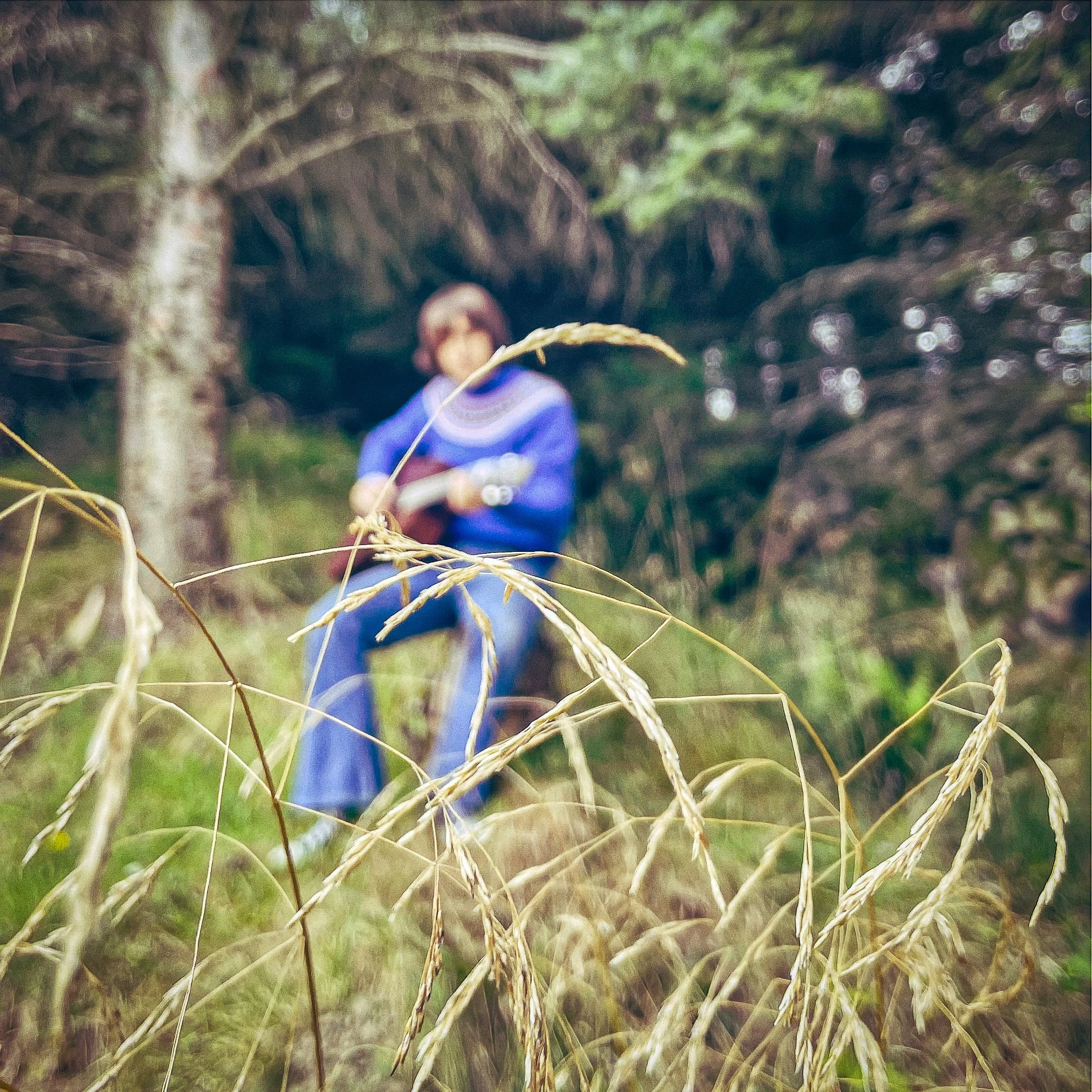Blurry close-up of dry grass with a blurred person in a blue jacket in the background.