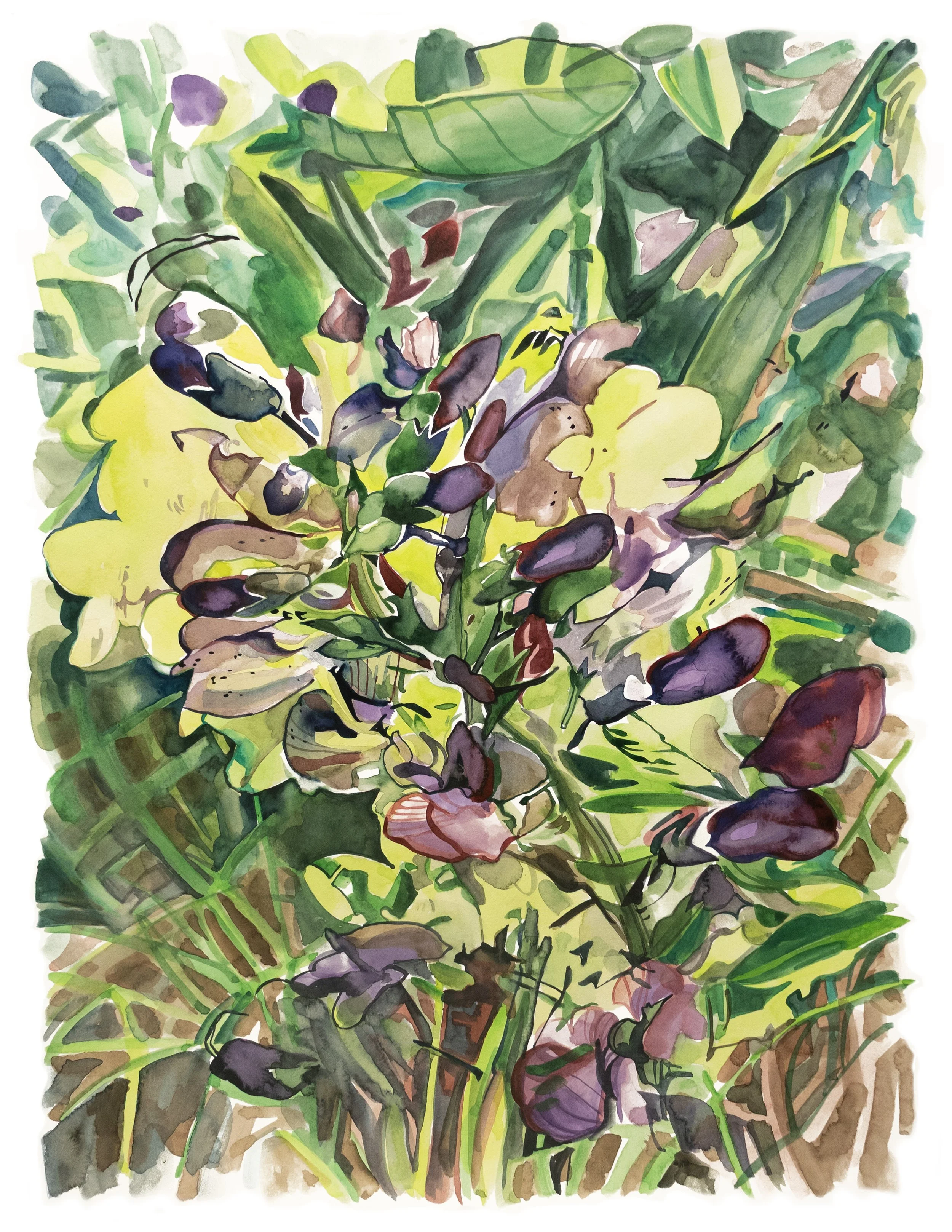 "Flint Hills I: Wild Indigo", watercolor on paper, 15" x 20", 2025.