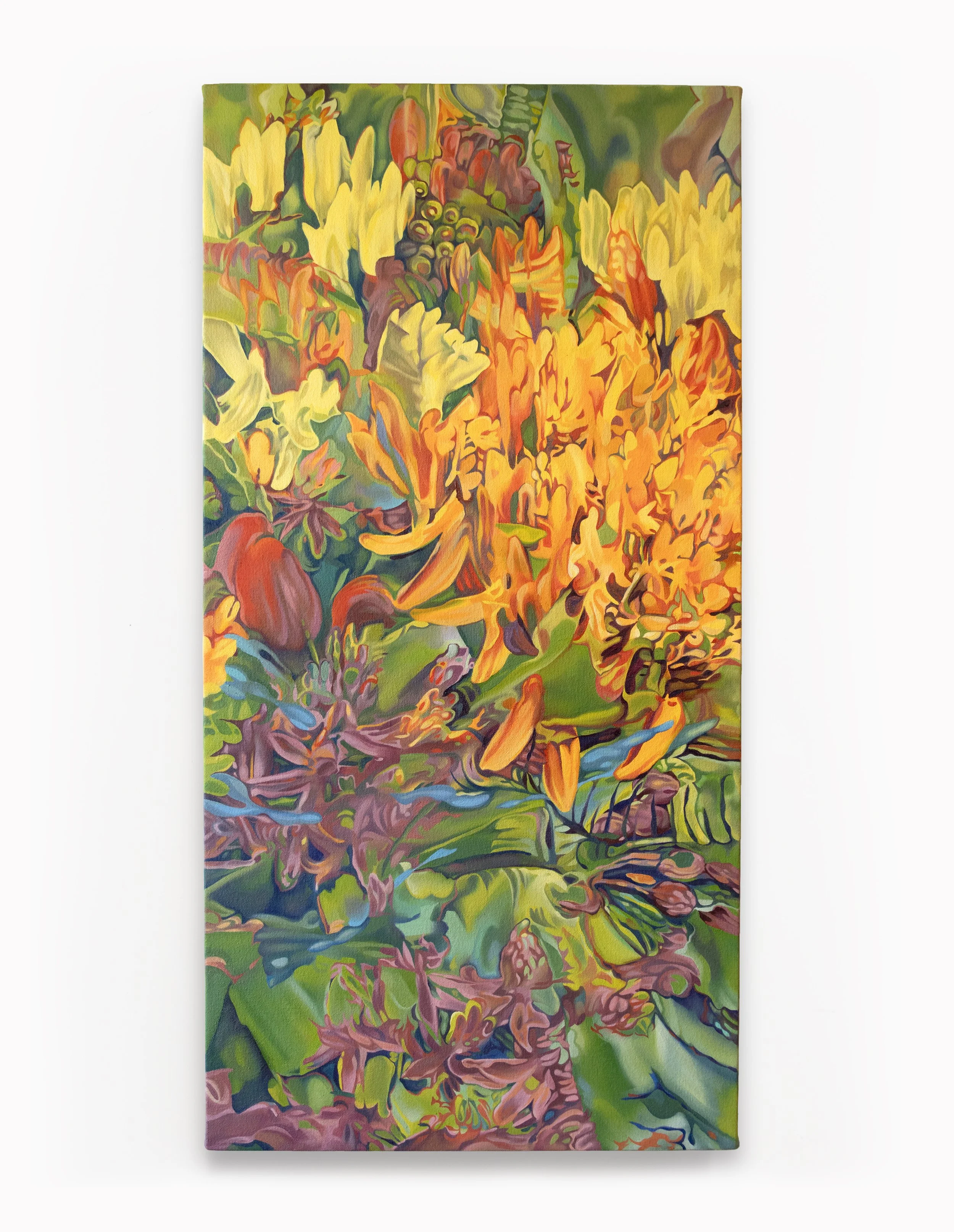 Asclepias tuberosa, oil on canvas, 16” x 32” x 1.5”, 2026.
