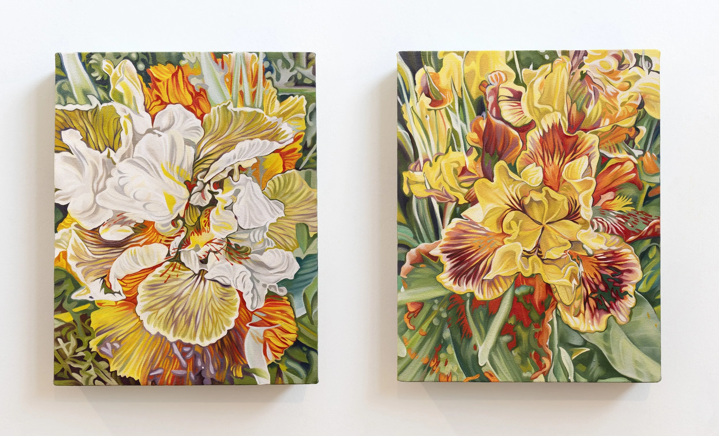 "Iris x germanica Diptych", oil on canvas, 26” x 14” x 1.5”, 2025.
