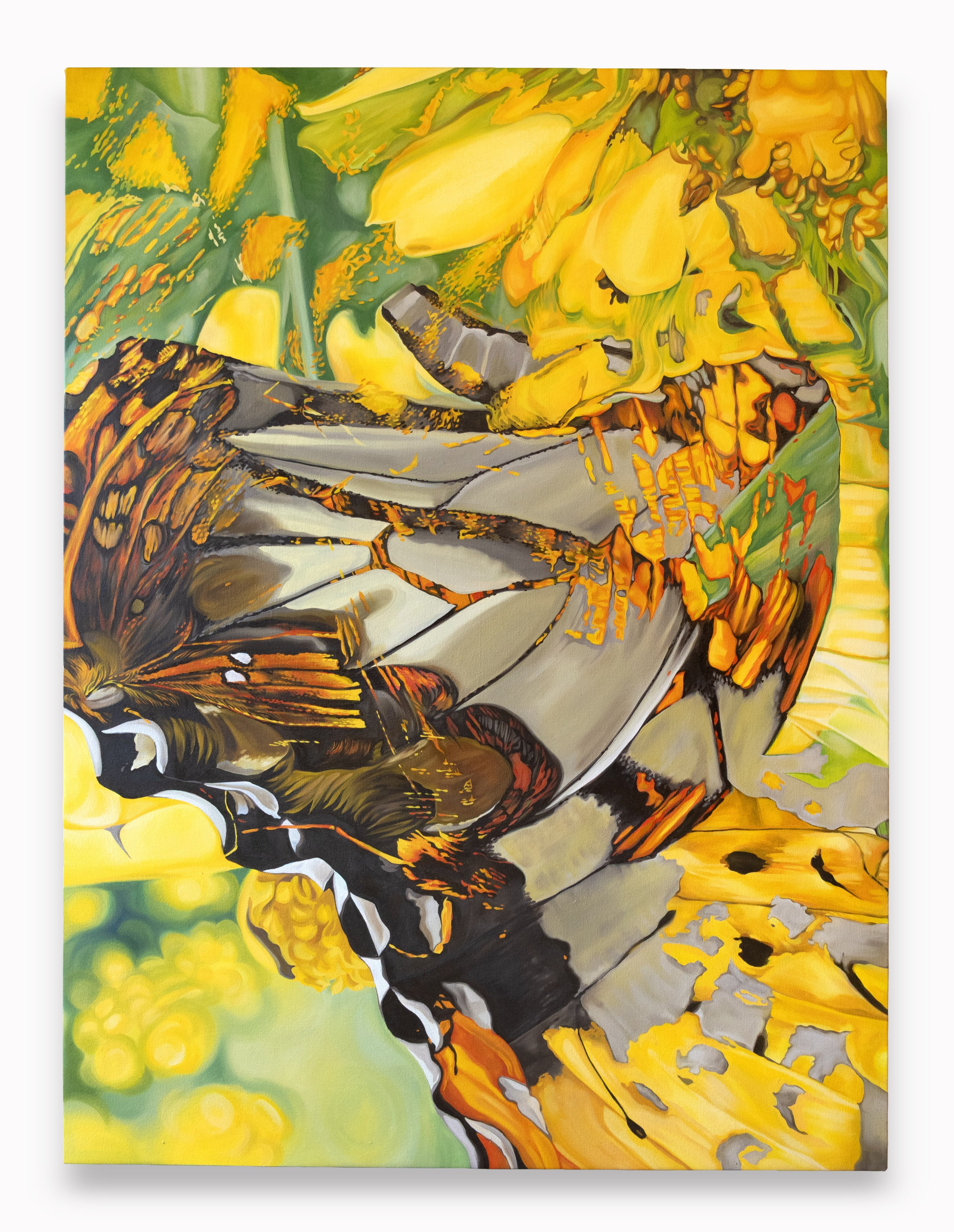 Metamorphosis II, oil on canvas, 36” x 48” x1.5”, 2026.