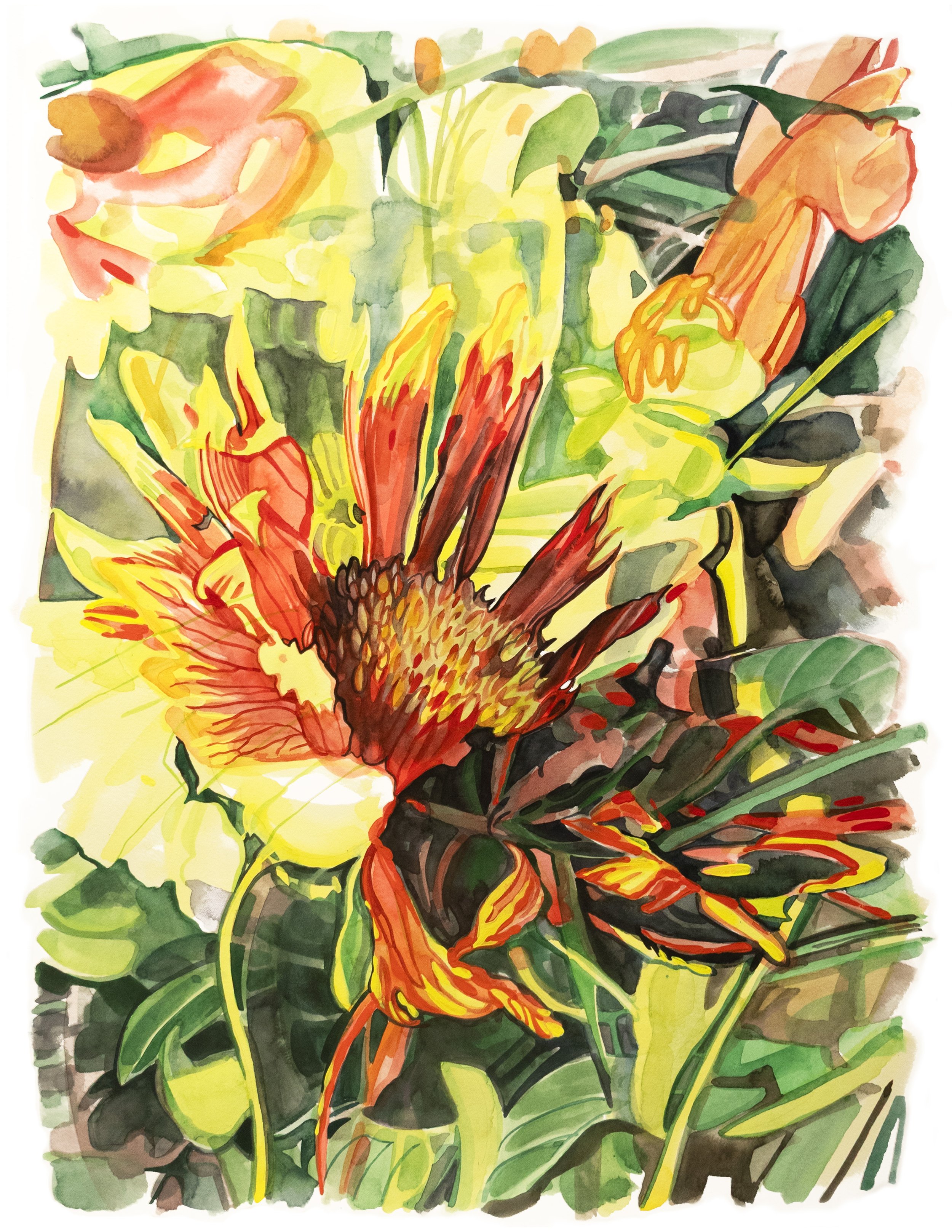 "Flint Hills III: Blanketflower", watercolor on paper, 15" x 20", 2025.