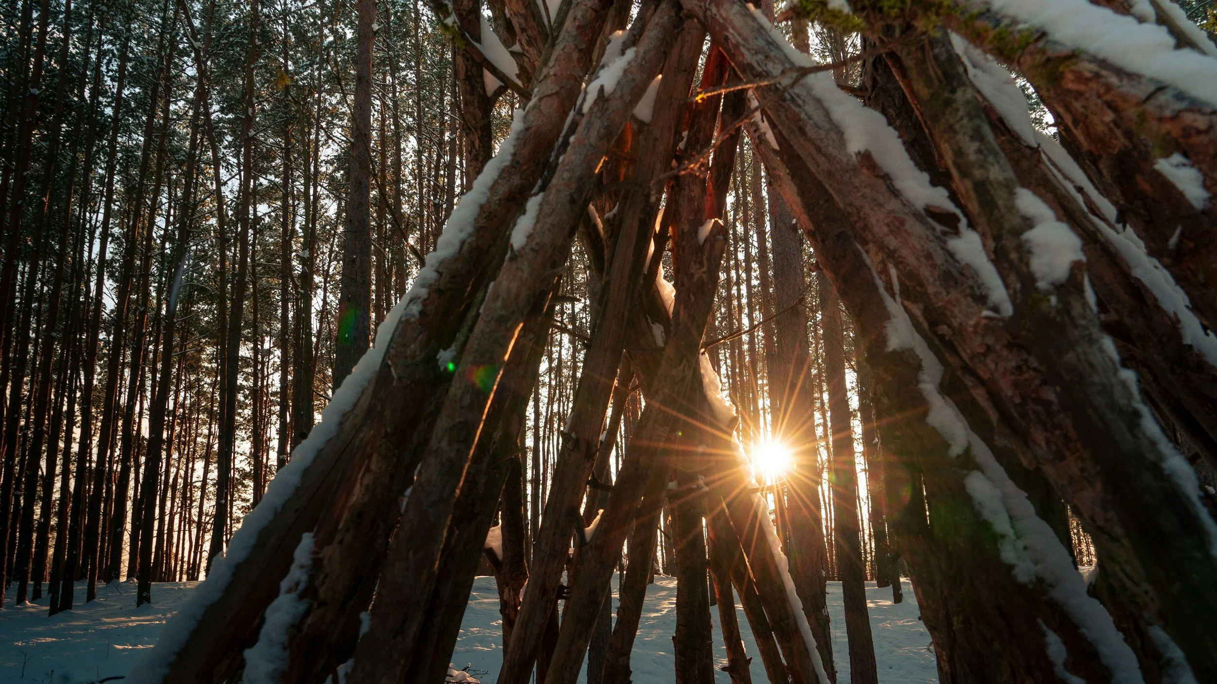 Living in Survival Mode: What It Is and                   How to Get Out of It