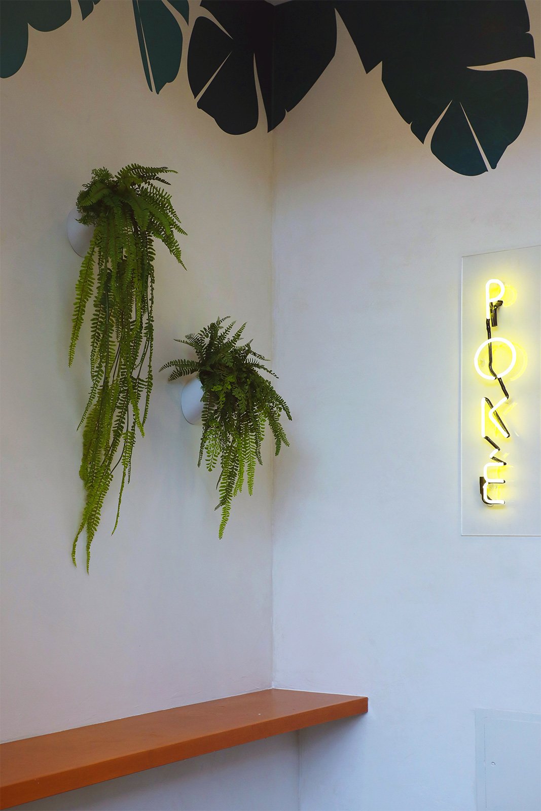 Hula Metrotown Store Detail