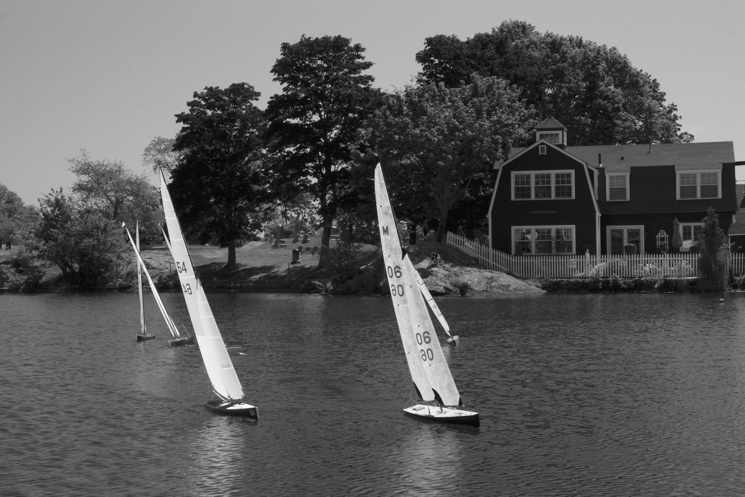 Pond View.jpg