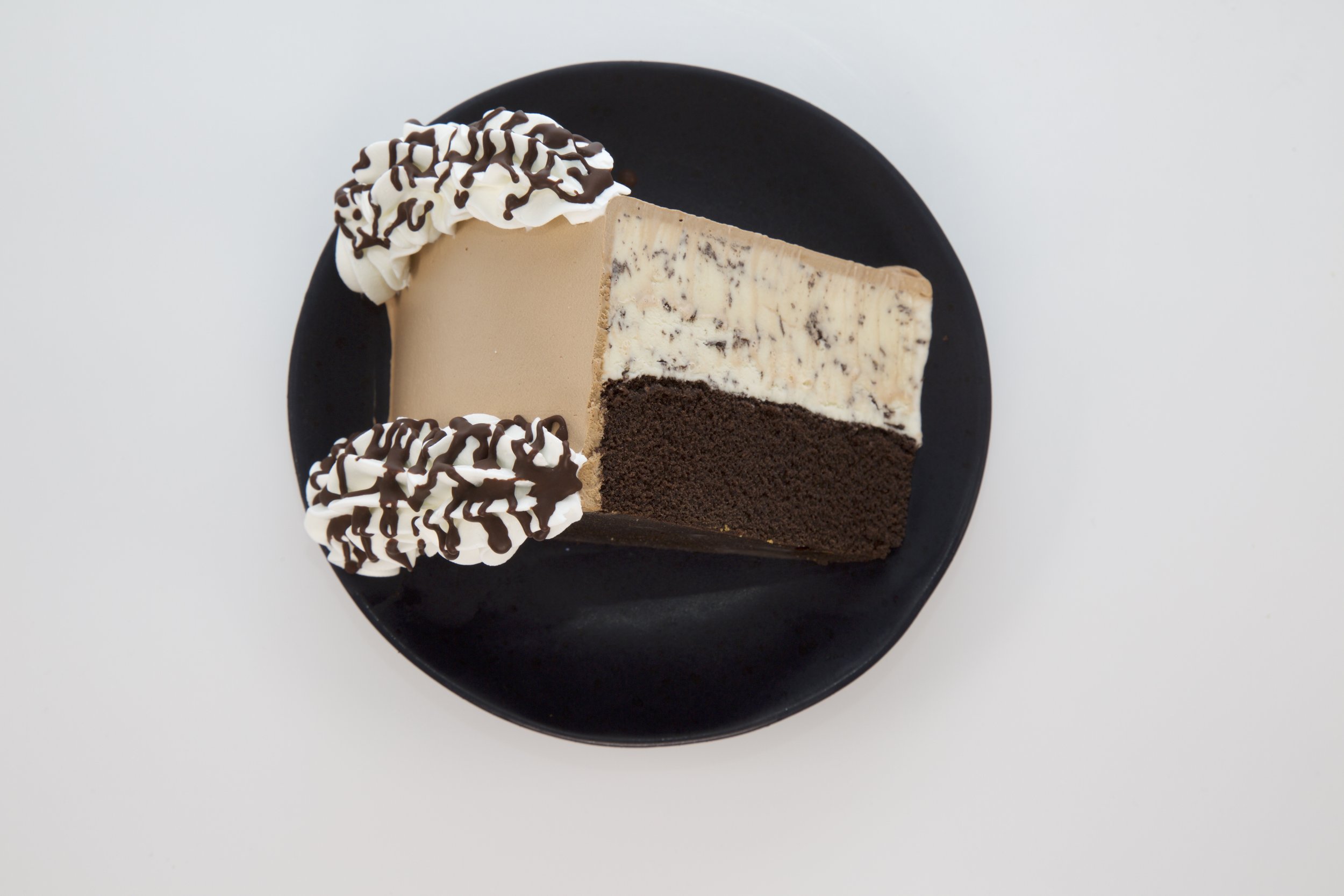 Baskin-Robbins Ice Cream Cake Slice