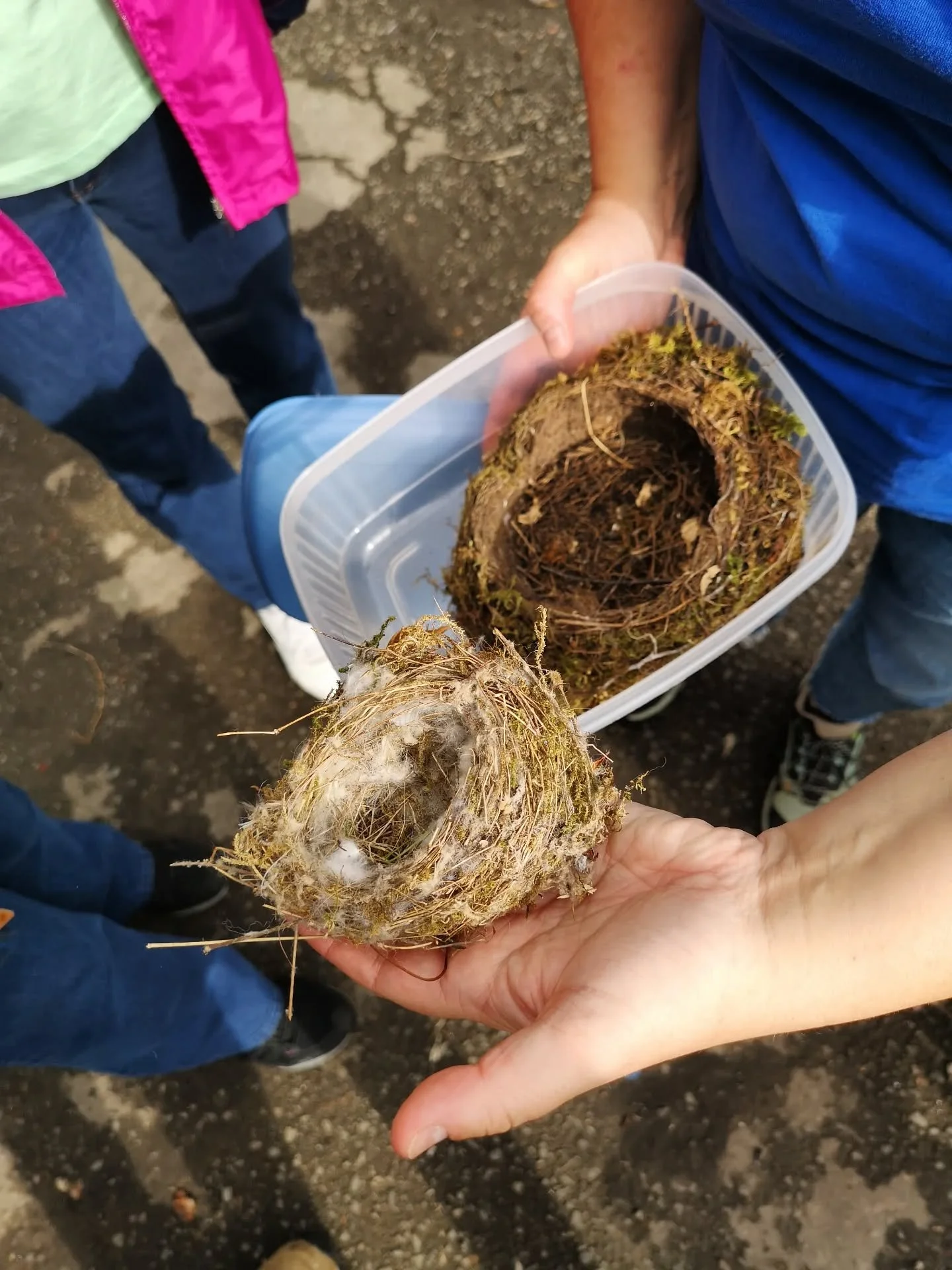 It was fantastic to have Alice from the RSPB along yesterday, collaborating with us on a guided walk through Springburn Park to watch and listen for local birds. Participants identified lots of different birds - goldfinch, goldcrest, long tailed tit,