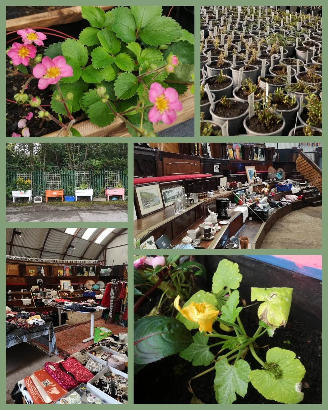 🌱🌸 Finally! We will reopen our doors on Saturday 11th April at 11am - 3pm with our second-hand market Off The Rails (free to attend) 🛍️ In parallel, we will run a free drop-in planting session from 12-2pm. Come along to help us with our planters o