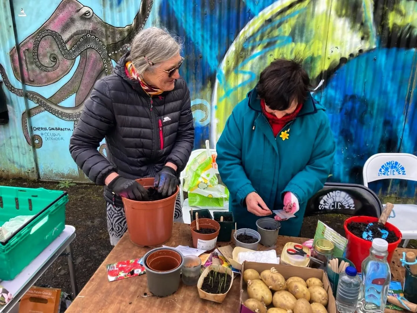 Thank you to everyone who came to our seasonal reopening today at SPRINGburn Auditorium 🌸🪻 it's been great to see you all and get some seeds and seedlings planted 🌱
