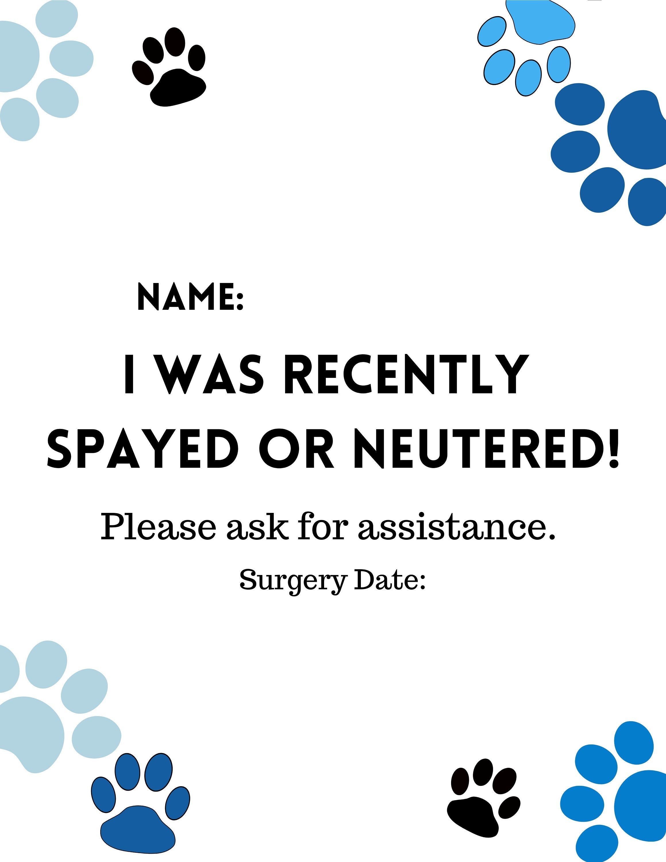 https://i.etsystatic.com/26631453/r/il/e29e6a/3740038643/il_fullxfull.3740038643_lu2g.jpg