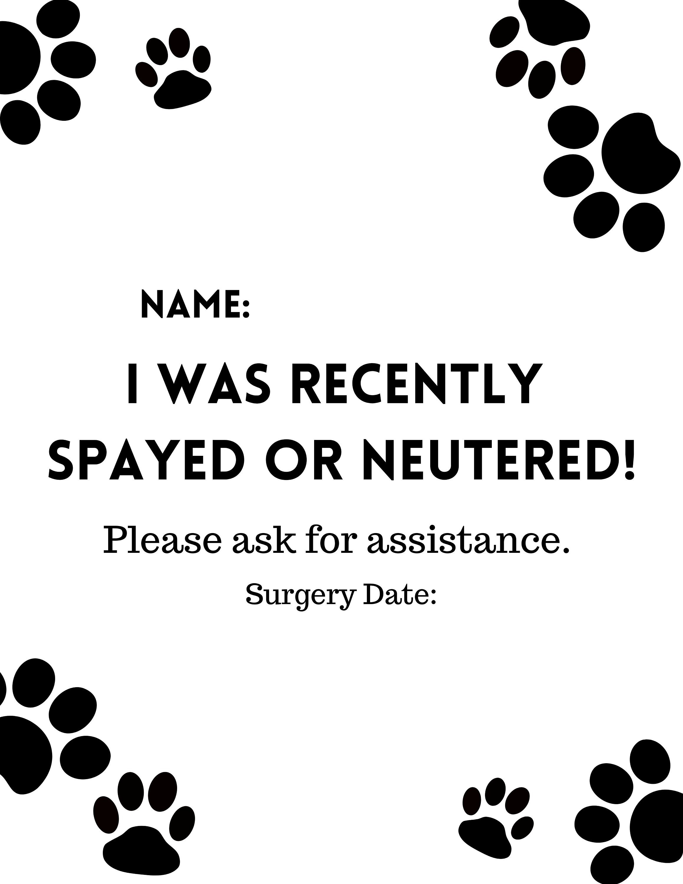 https://i.etsystatic.com/26631453/r/il/e08e5e/3739936461/il_fullxfull.3739936461_bmcz.jpg