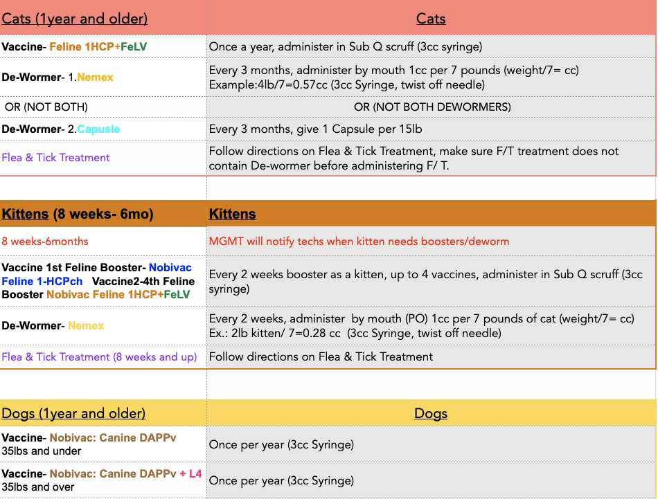 Editable Monthly Pet Upkeep & Care Checklist — Digital Download