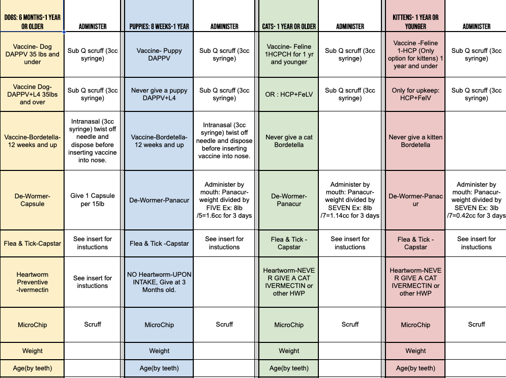 Editable Animal Intake Procedures Spreadsheet | Dog Cat Puppy Kitten Vaccine & Dewormer Protocol | Rescue Shelter Digital Download Excel
