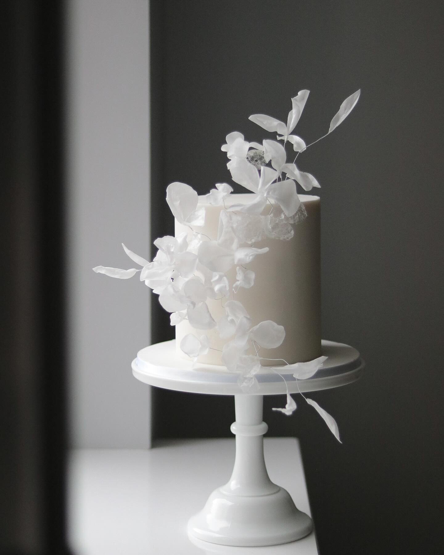 Little flawless cloud ☁️⁠
⁠
This is what this cake makes me think of 🥰⁠
.⁠
.⁠
.⁠
.⁠
.⁠
.⁠
.⁠
⁠
#wedding #weddings #weddingcake #weddingcakesupplier #weddingsupplier #luxuryweddings #destinationweddings #bespokeweddingcake #bespokewedding #weddingpla