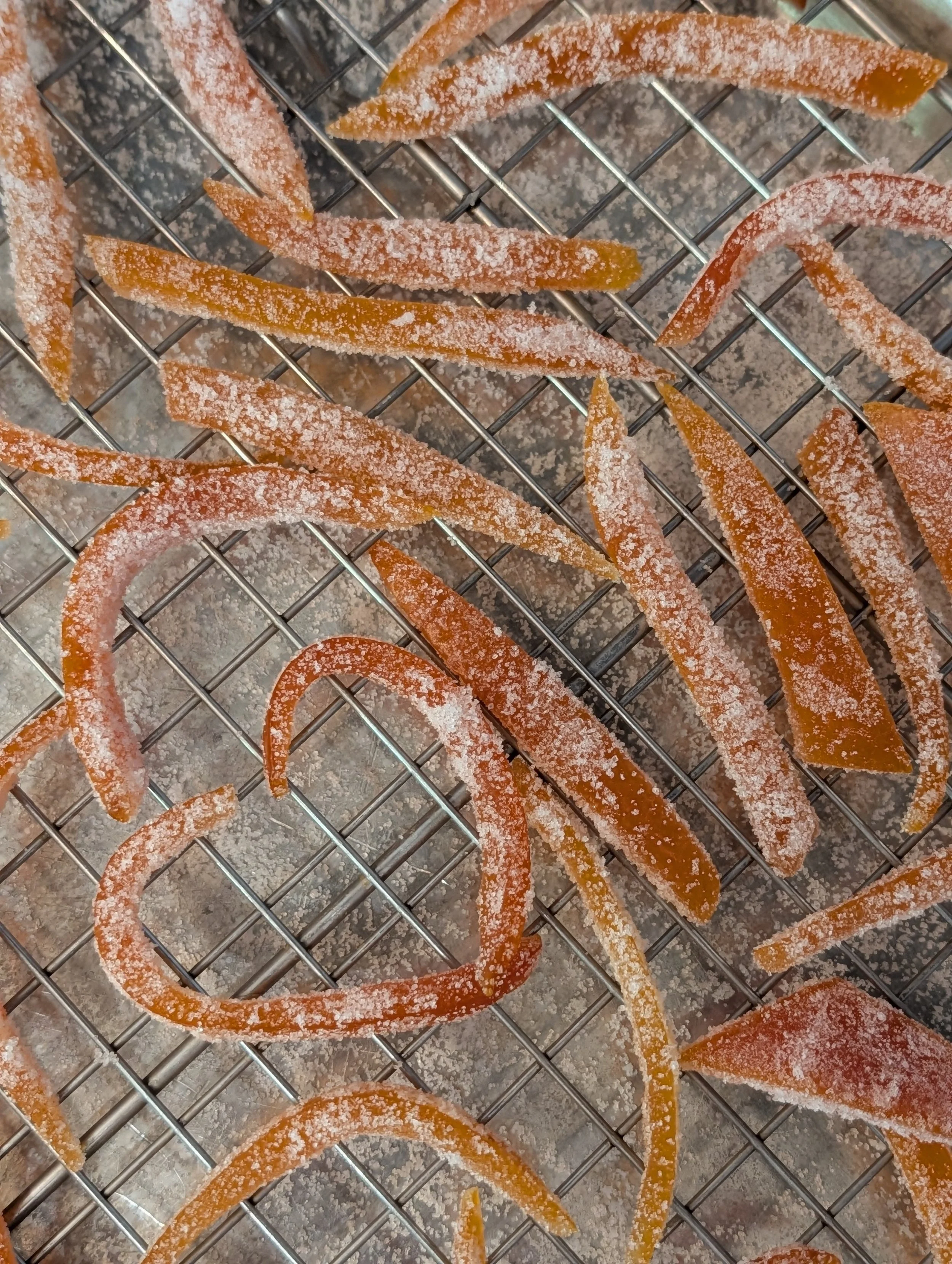 Candied Citrus Peels