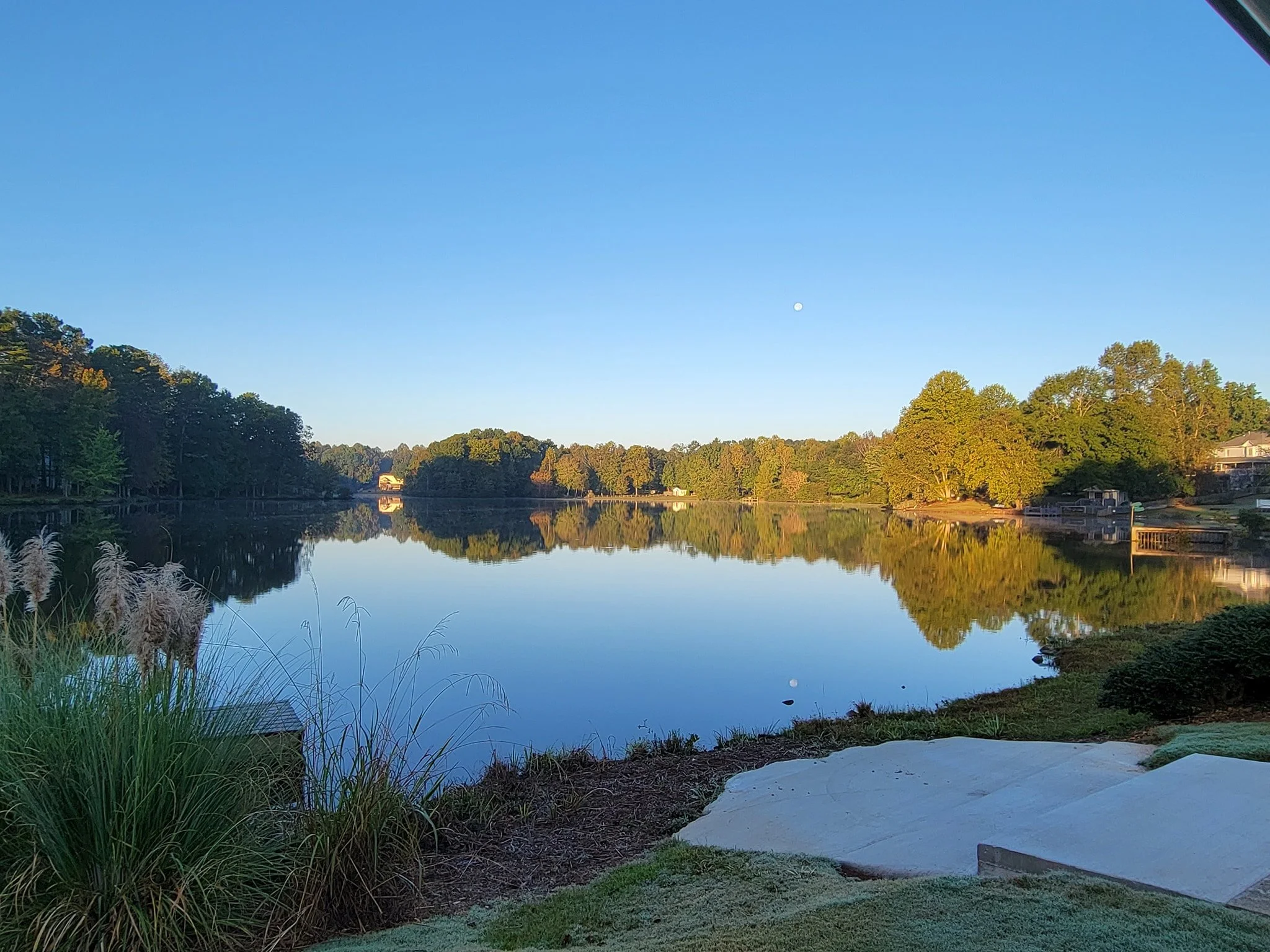 Lake Swan at Carrington Pointe