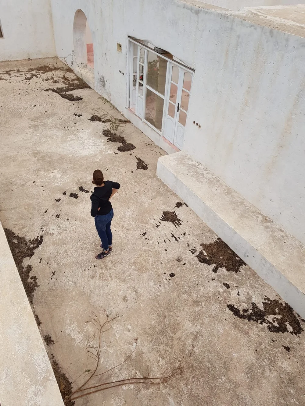 b8e28d8f-a877-4f3b-a7be-366de6800623 (1).JPG