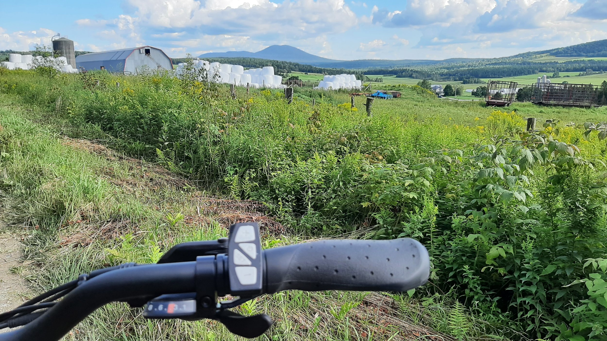 20230815_170308.jpg