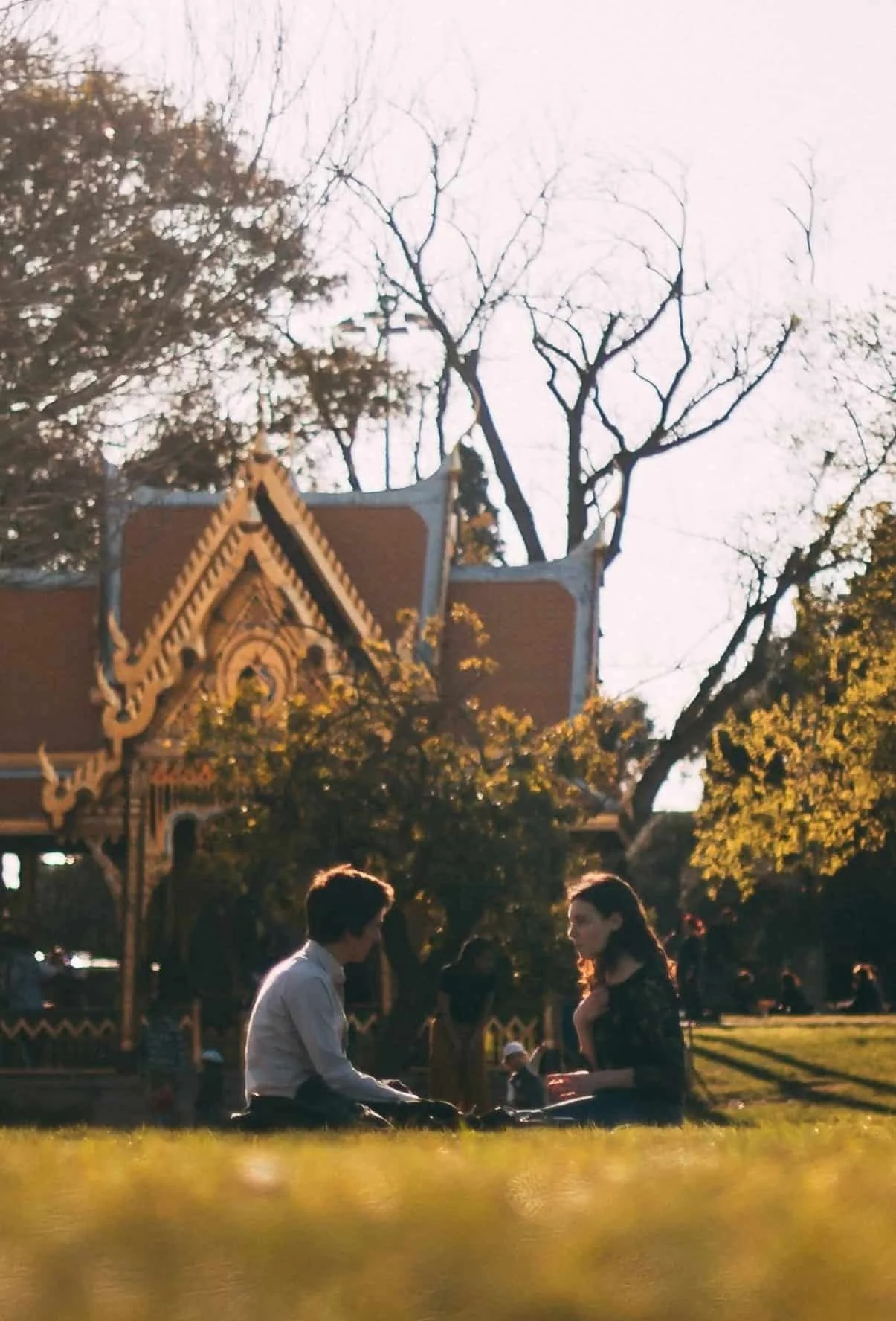 couple sitting across each other at park