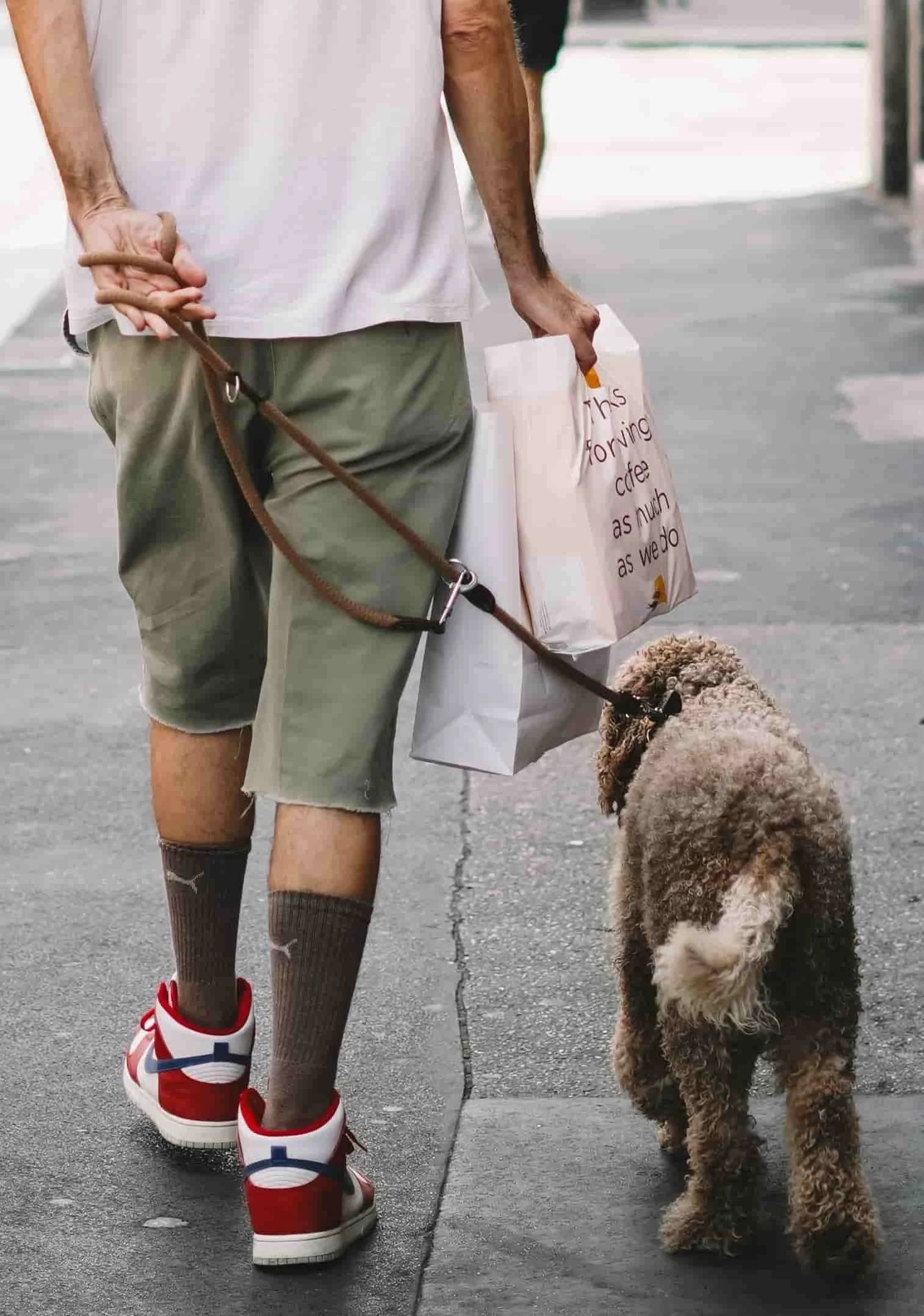 guy walking dog downtown