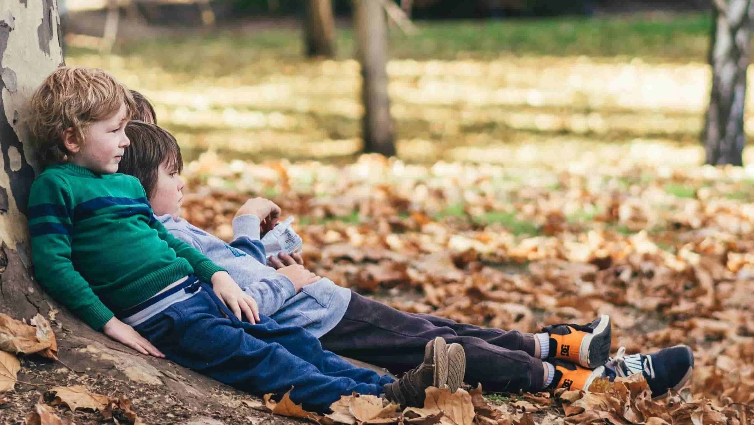 kids sitting against a tree in a pile of fall leaves