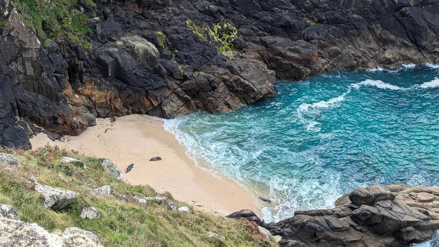 Cornish sea sausages