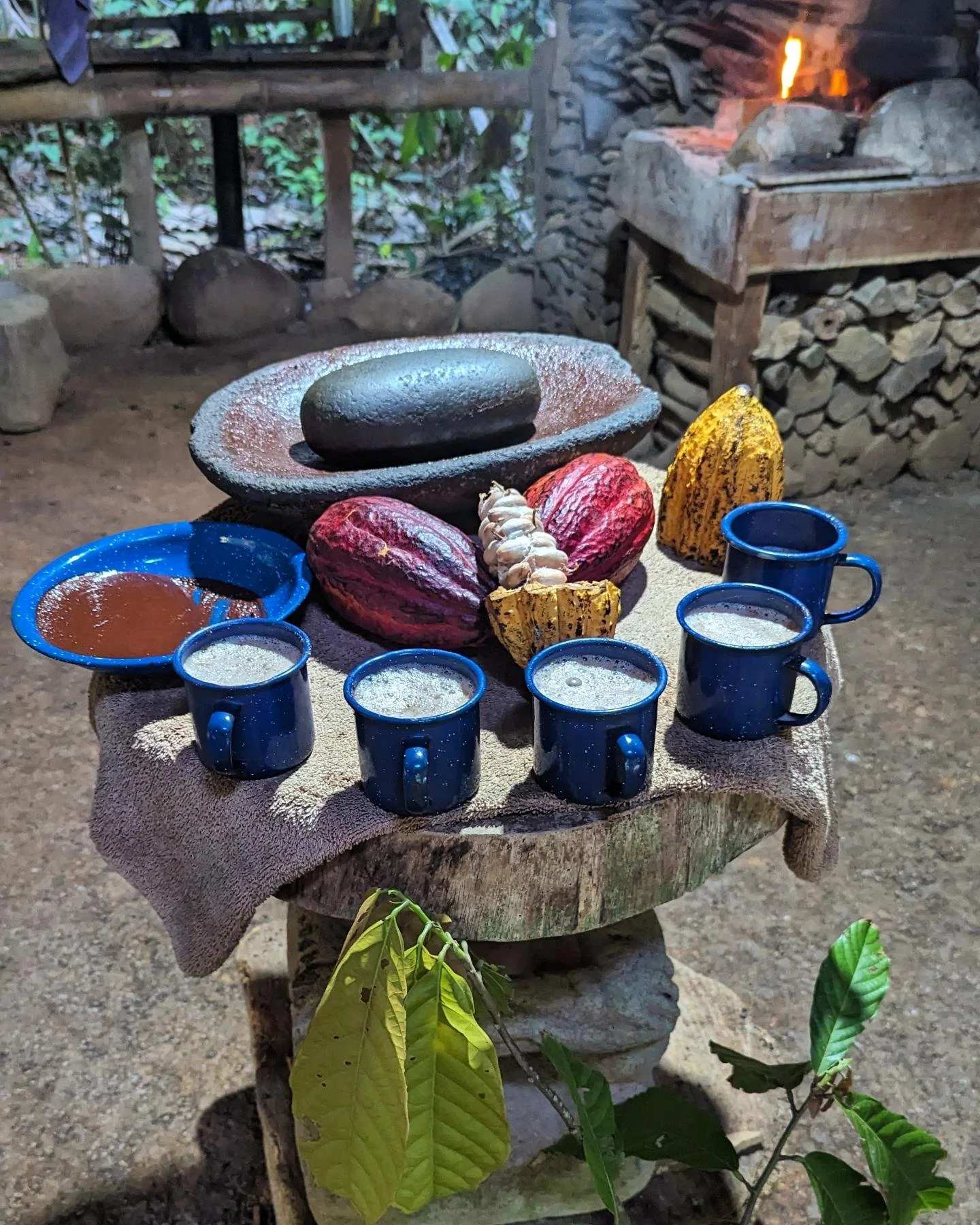 From cacao bean to hot chocolate and a 10/10 facemask - using traditional techniques and an original pre-Columbian grinding stone. ☕ Thank you for a fantastic afternoon @pre_columbian_chocolate_tour