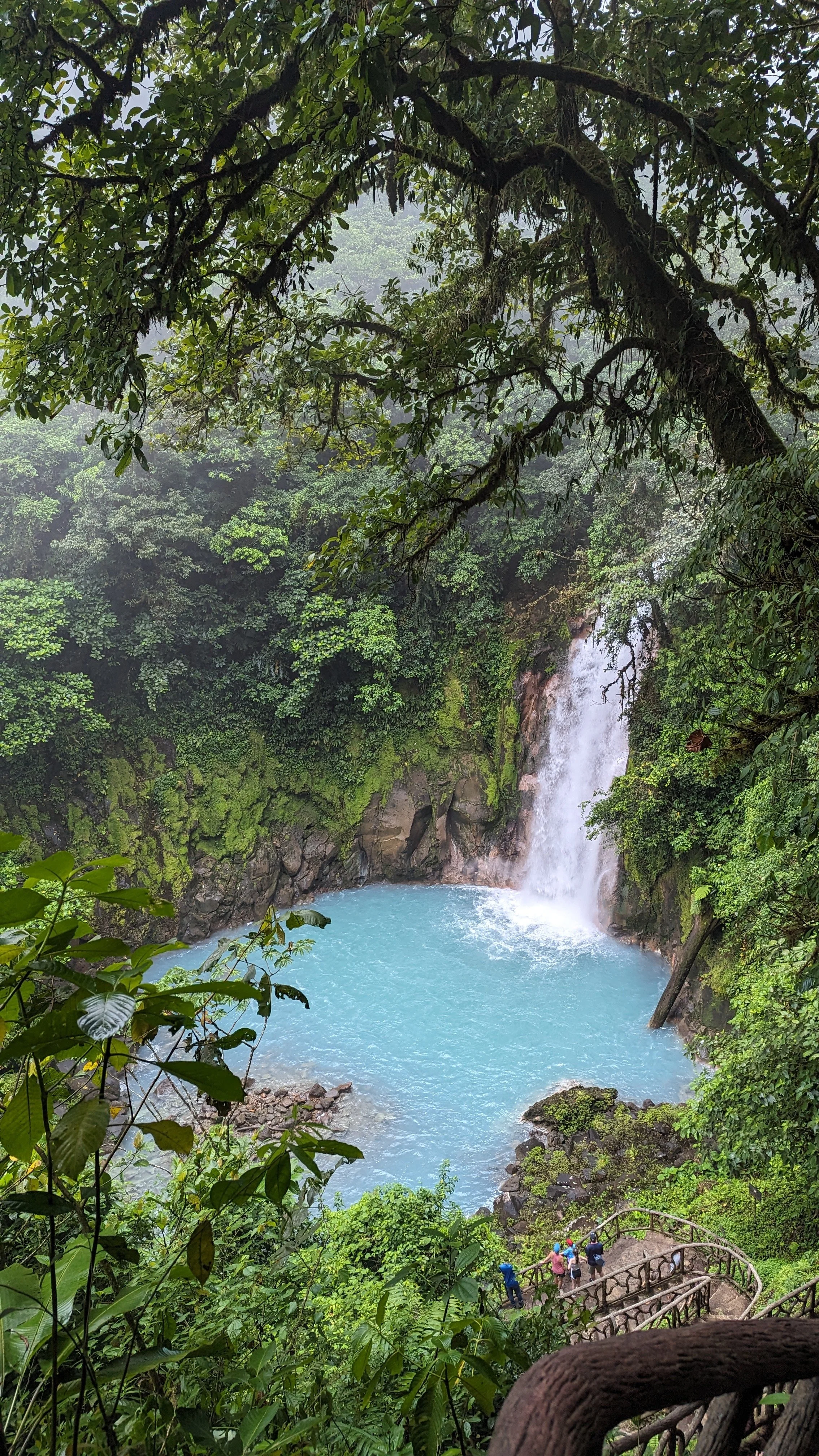 PXL_20240406_175659224.MP (1).jpg