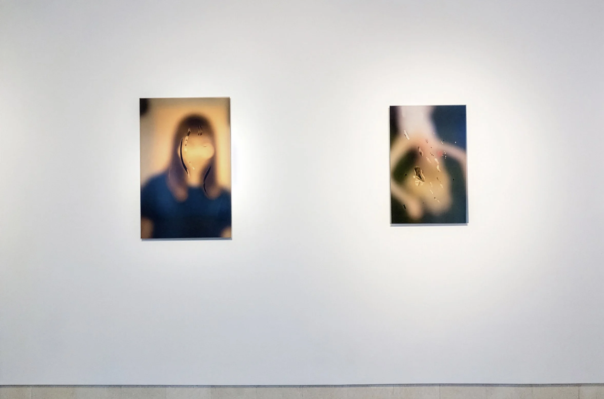 Installation view: Phantom Limb at Esther Klein Gallery, 2018