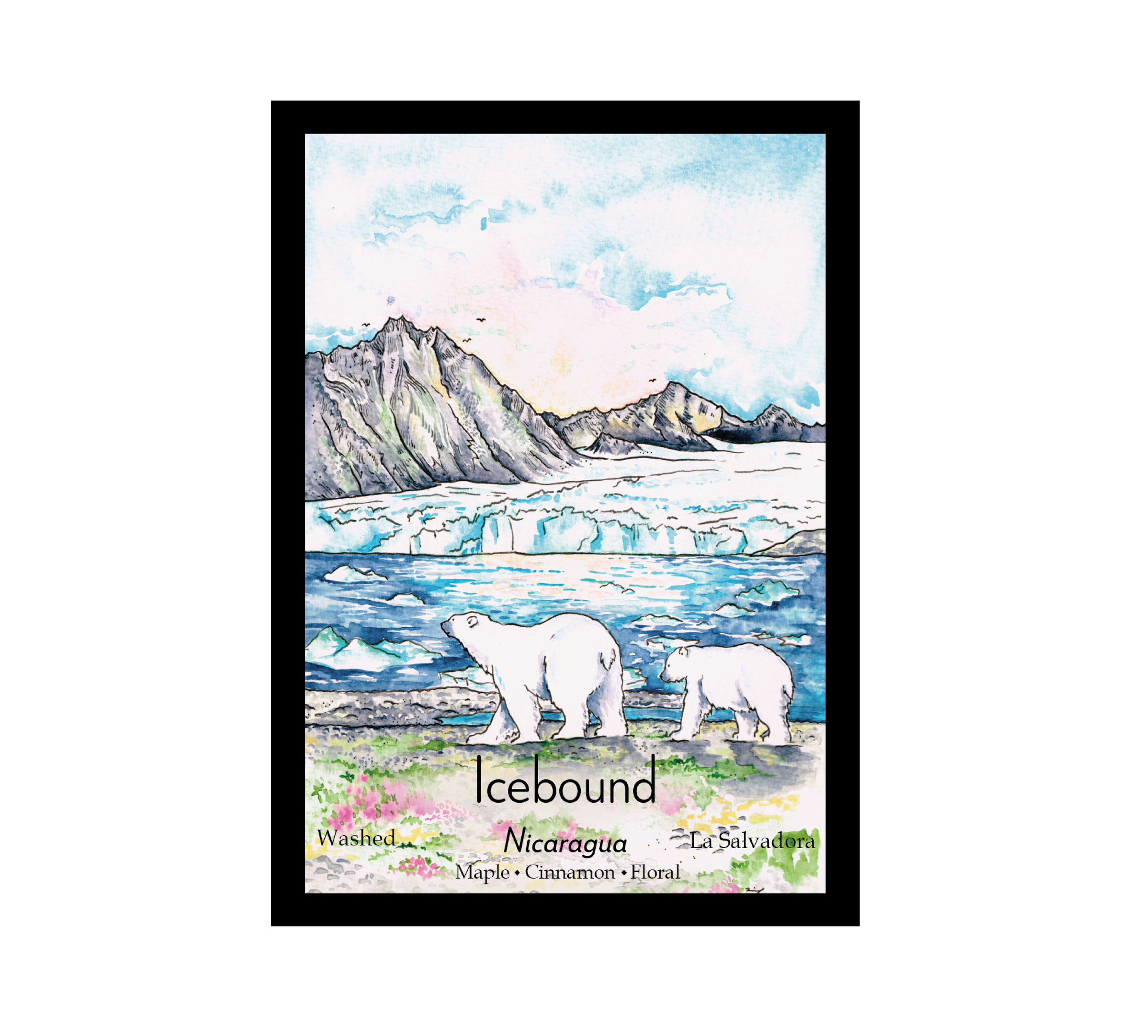 Website Nic wash v1.png