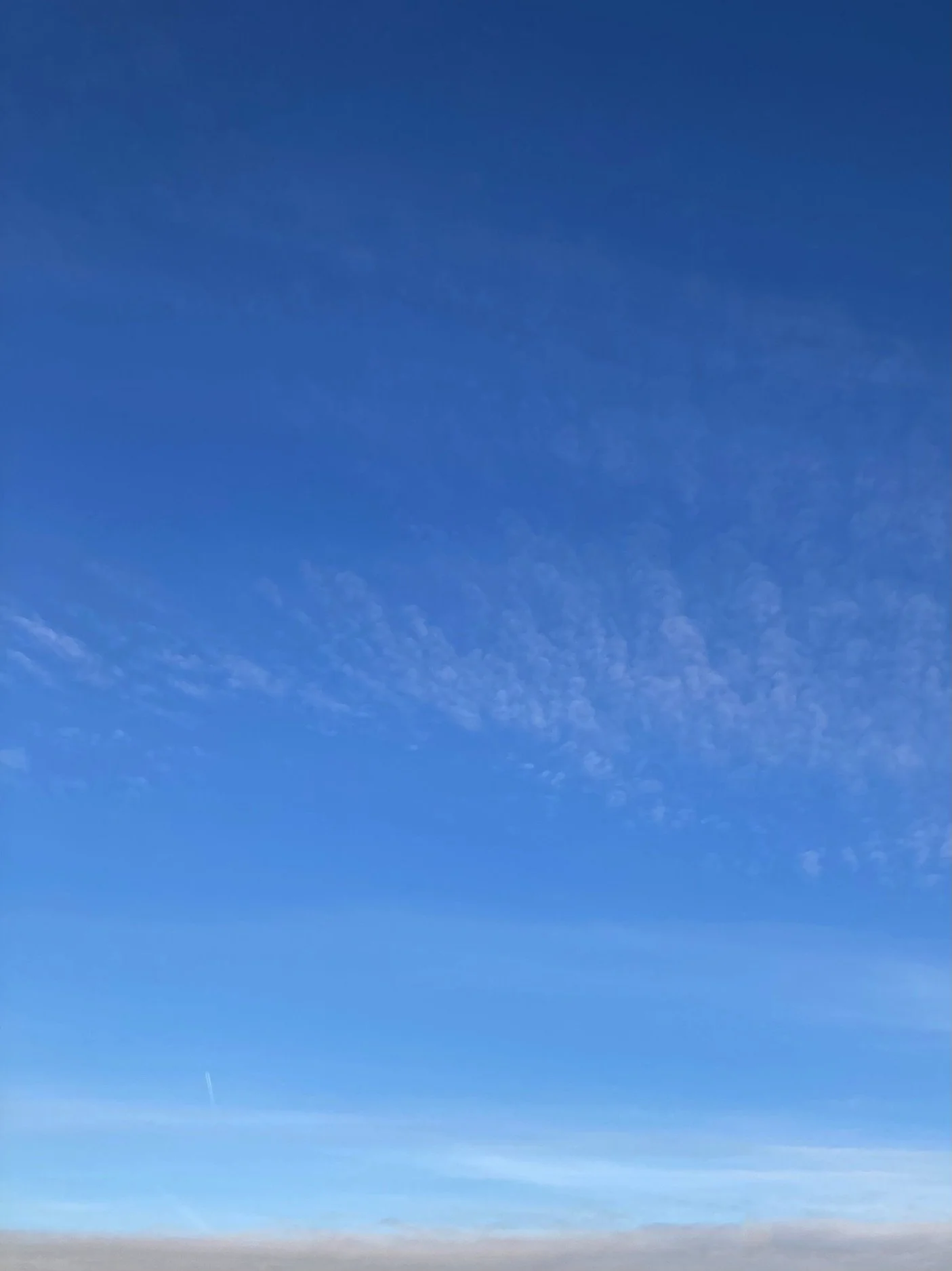 27.03.2026 06:56