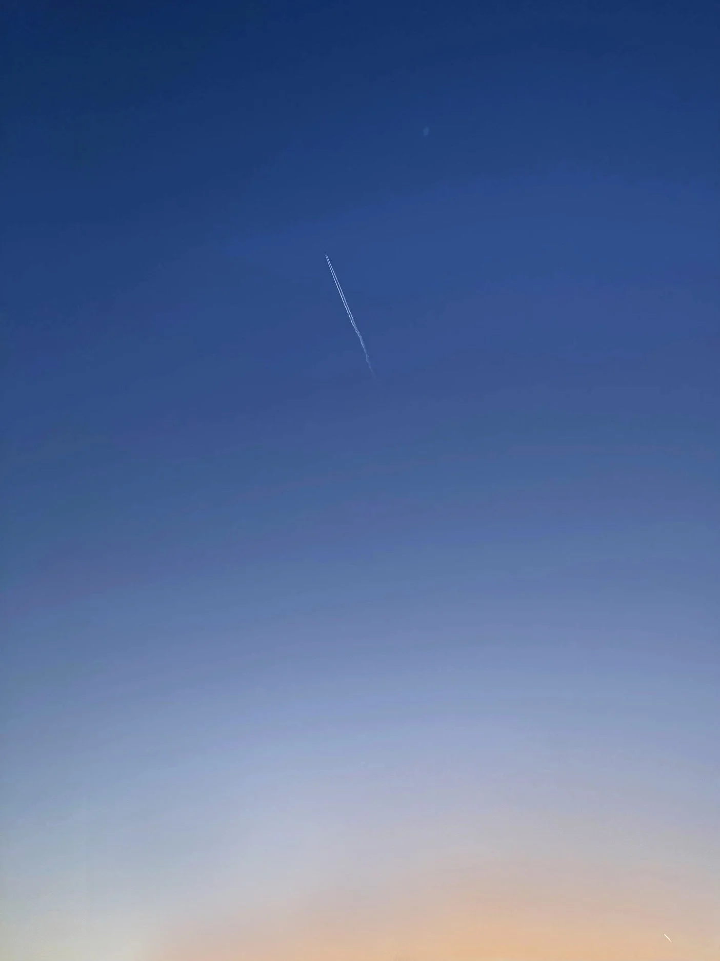 29.03.2026 07:41