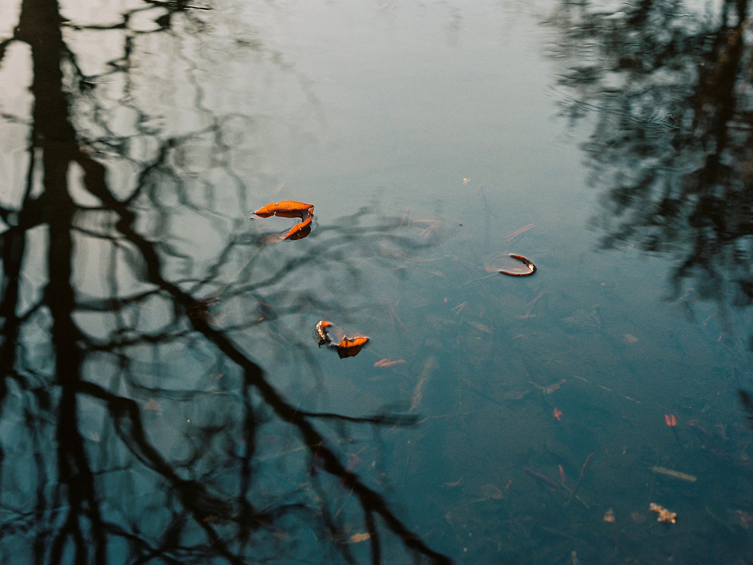 I was searching for something, and I found something else