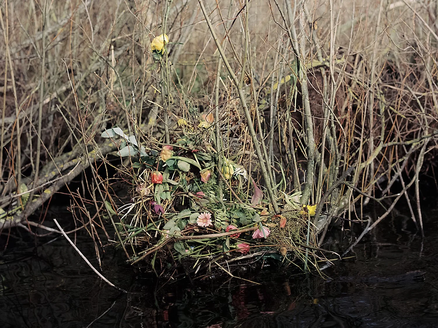 Don’t forget to bring me flowers