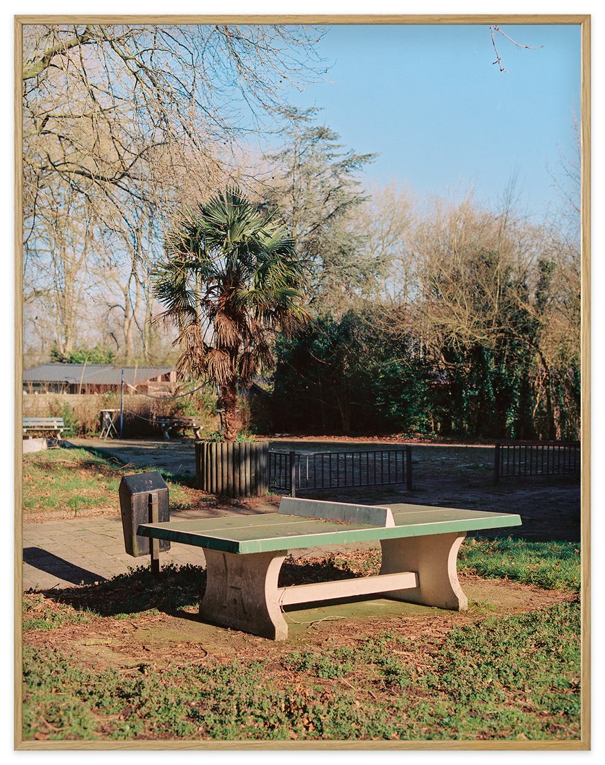 Sunflower Lane — ping pong