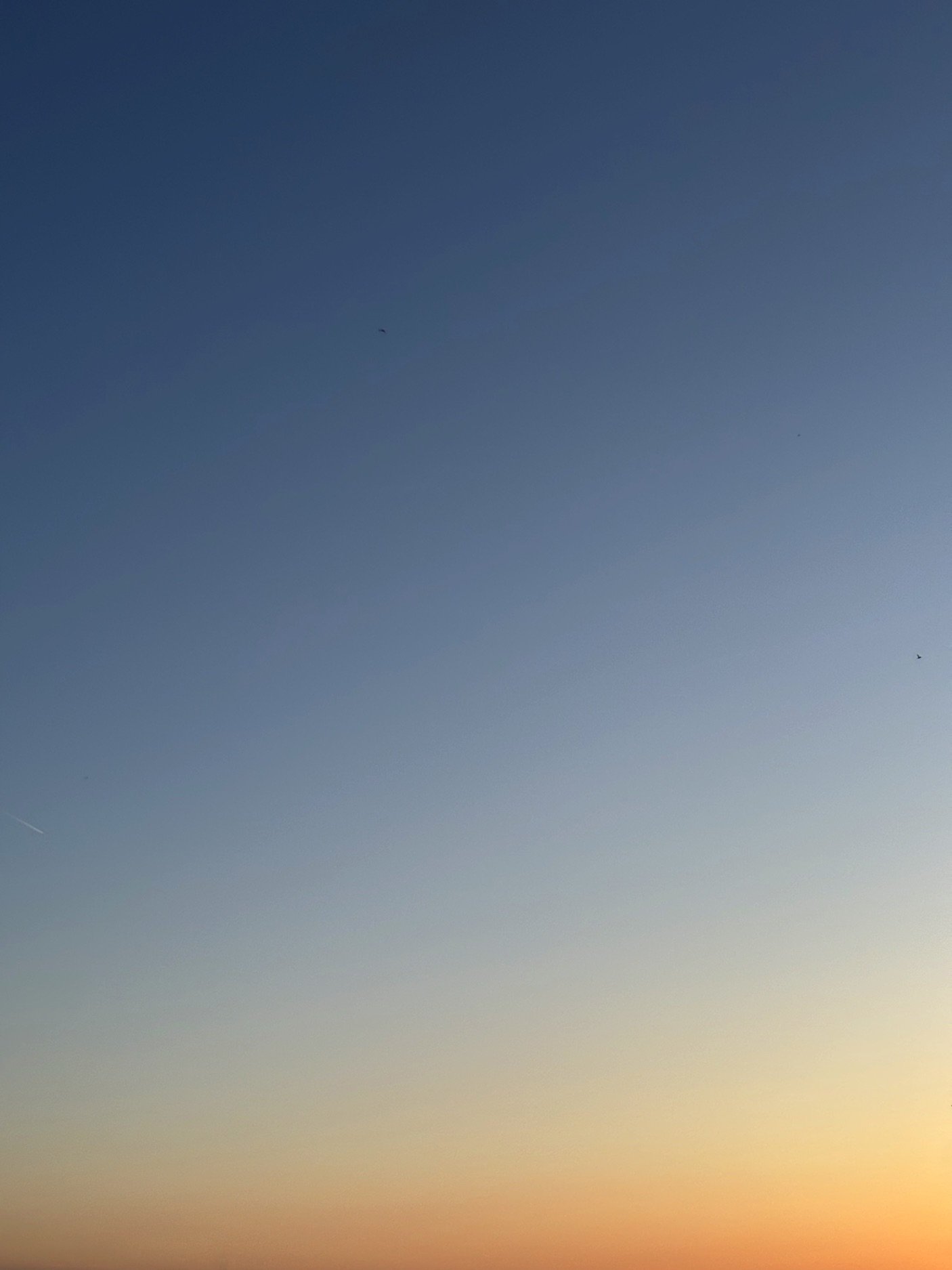 24.05.2026 21:31