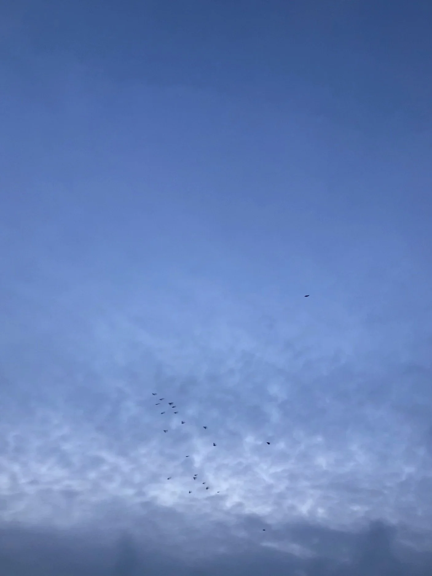 11.01.2026 16:52