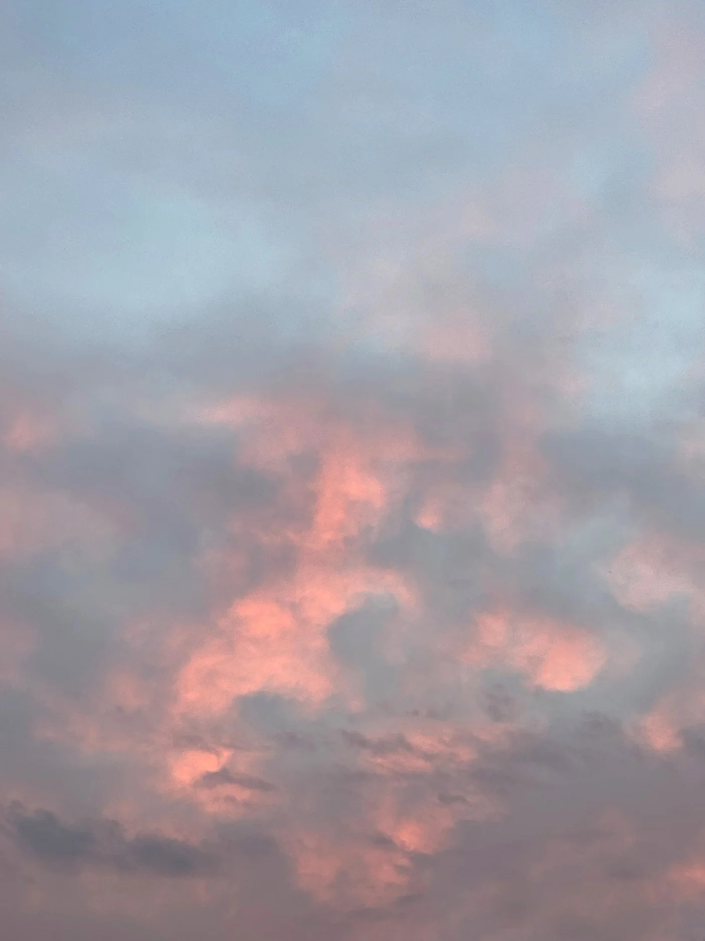 01.09.2026 06:53