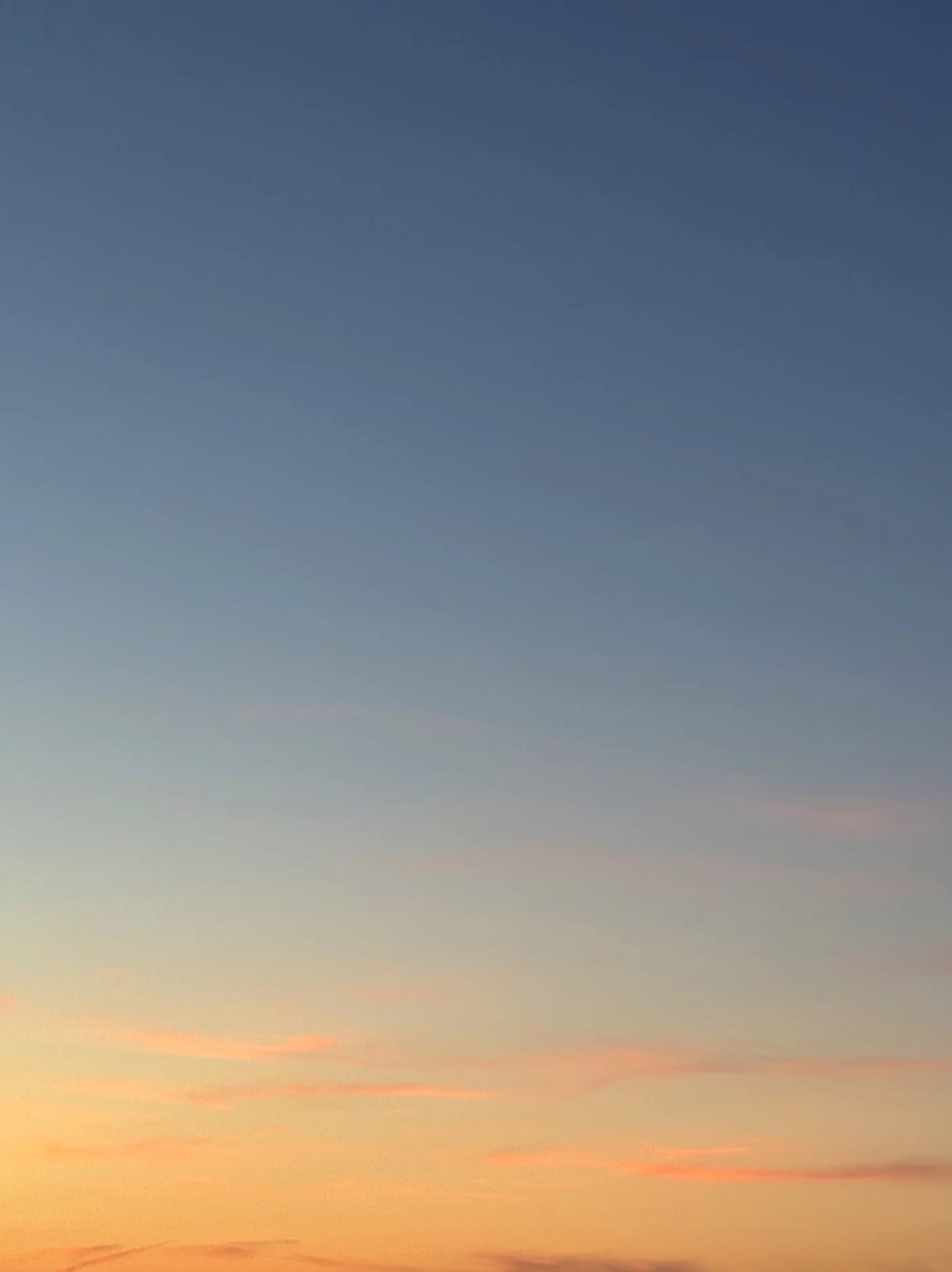 11.08.2026 21:31