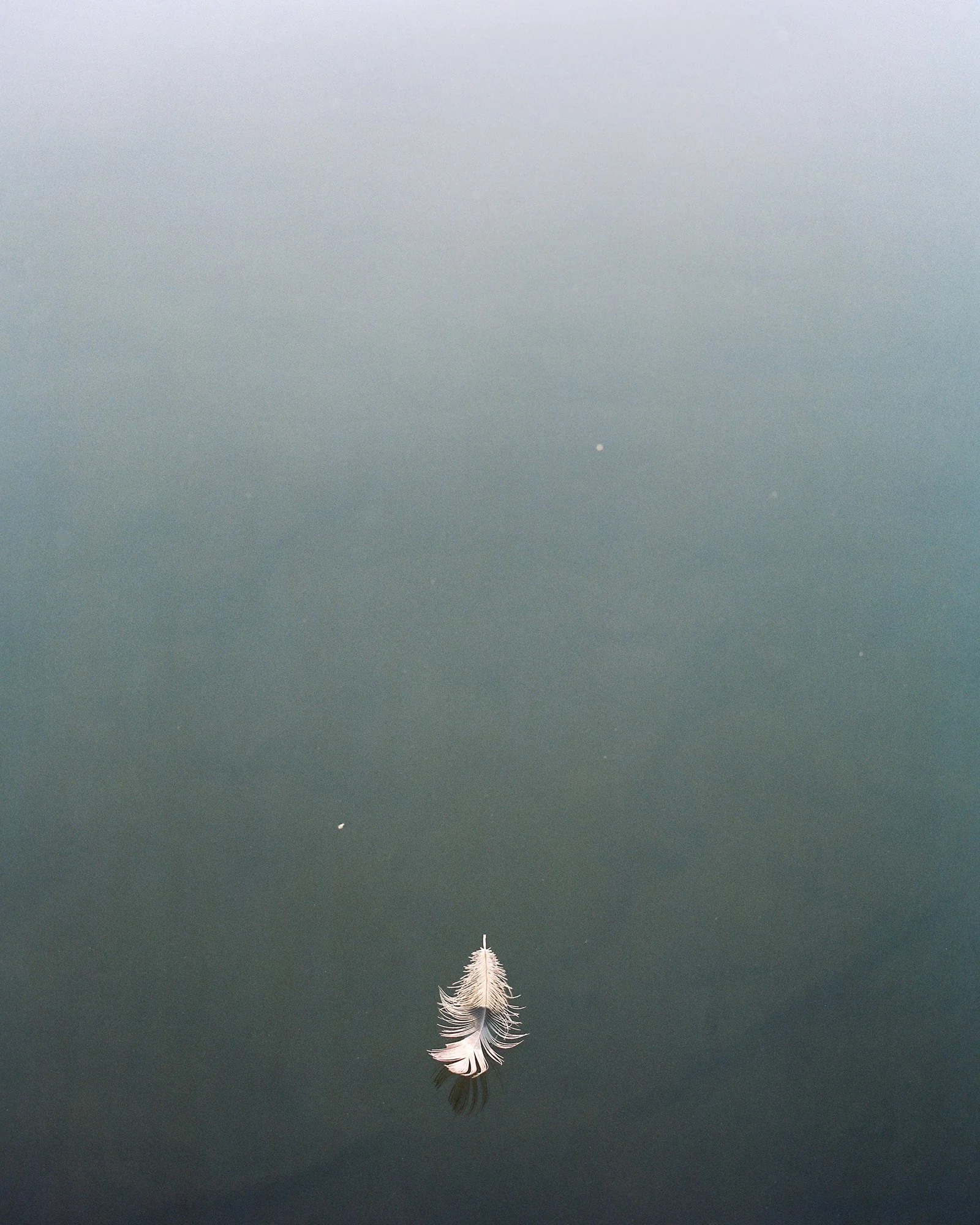 FamiliarWater_02.jpg