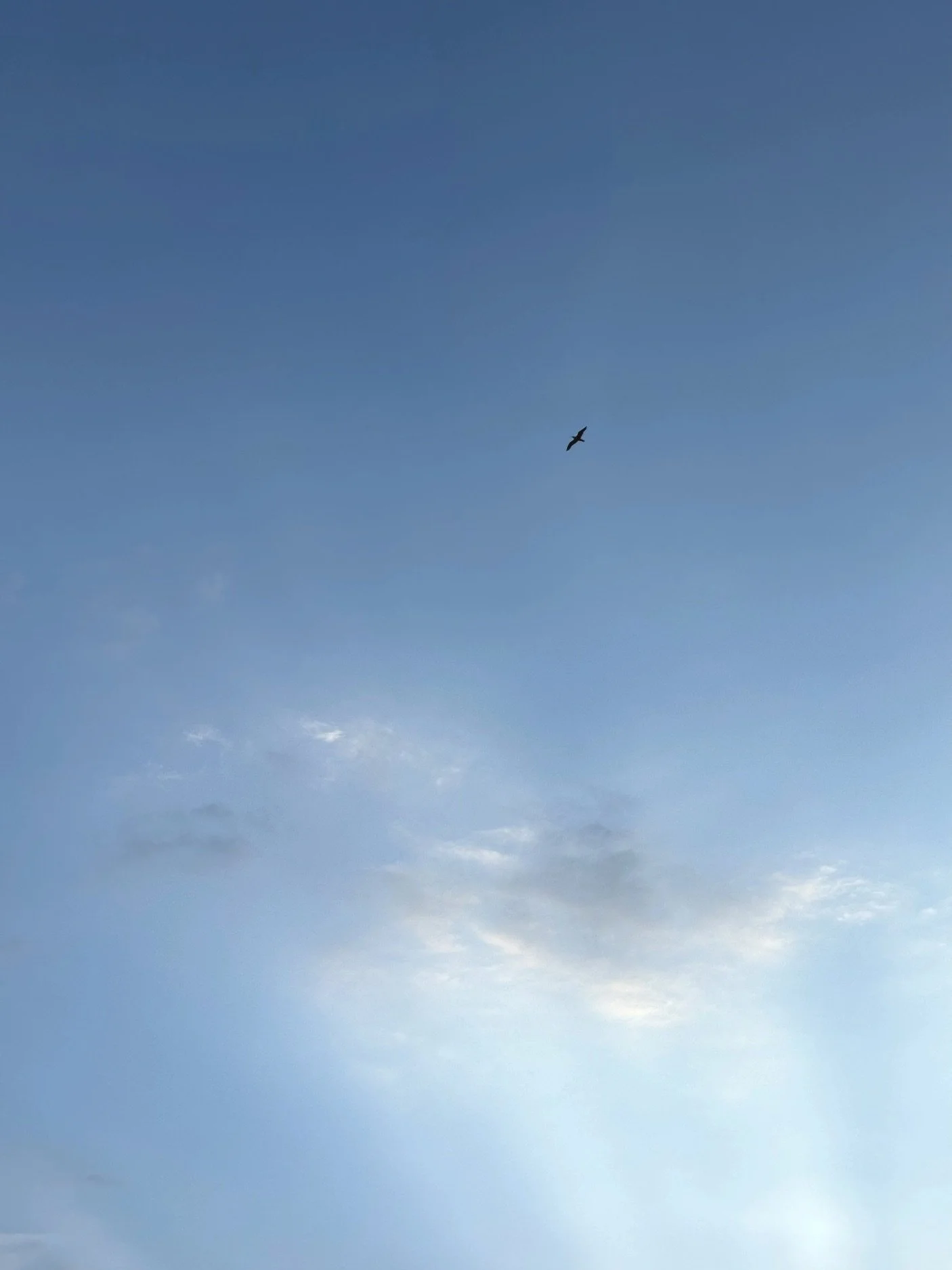 27.05.2026 06:40