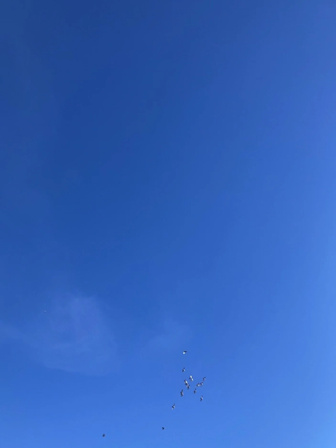 02.03.2026 16:06