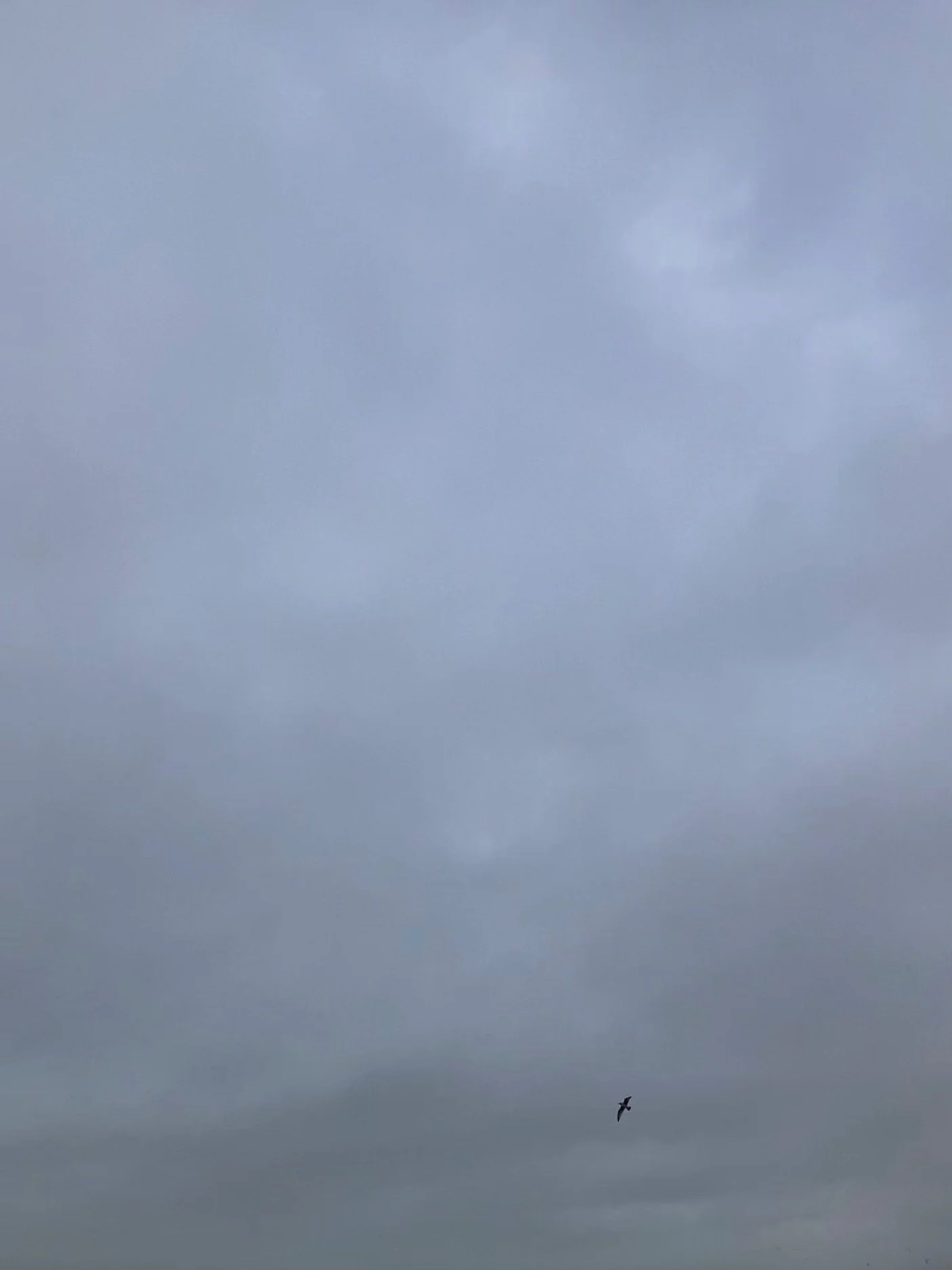 22.02.2026 14:25