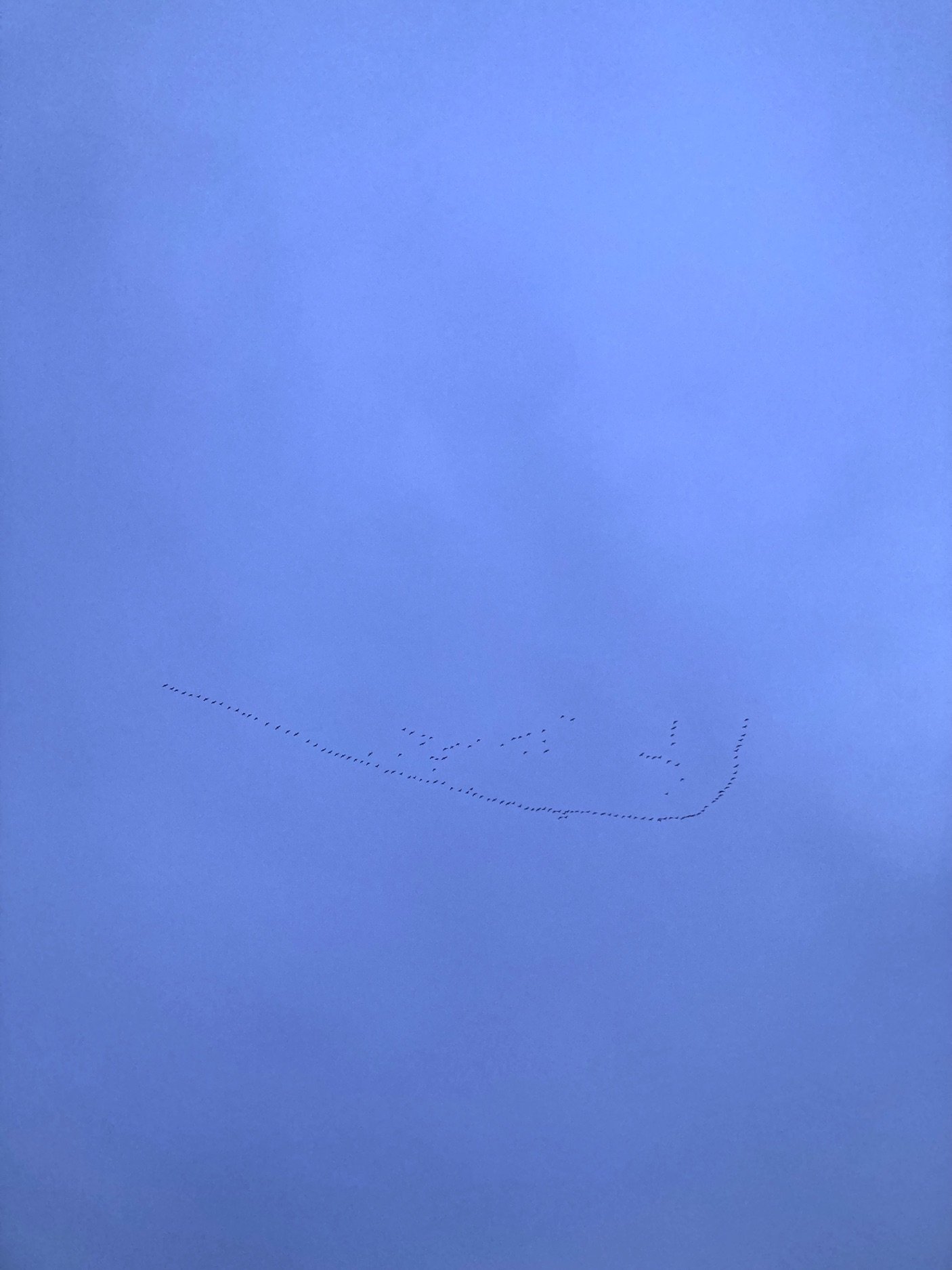 09.02.2026 17:54