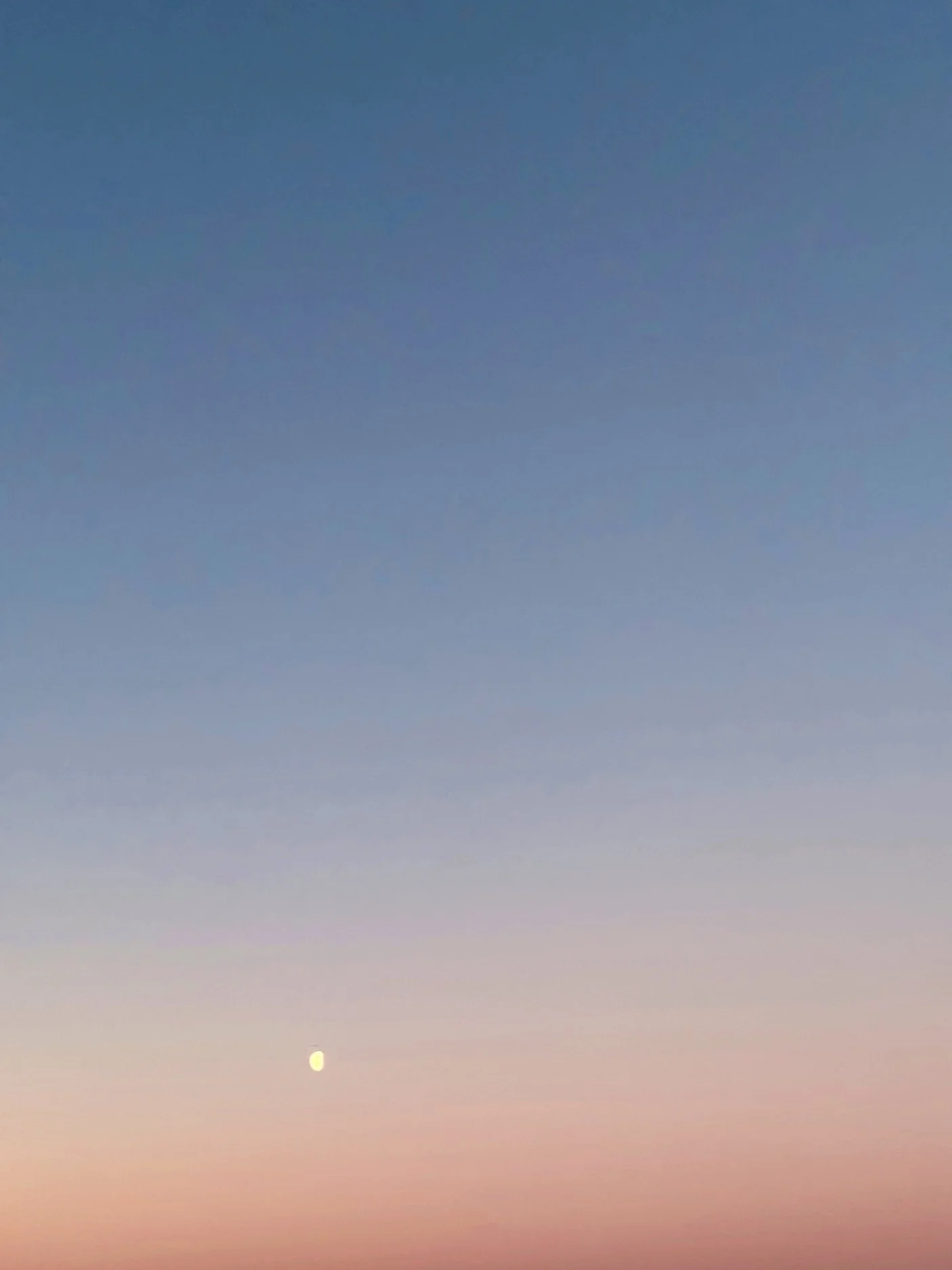 08.04.2026 06:54