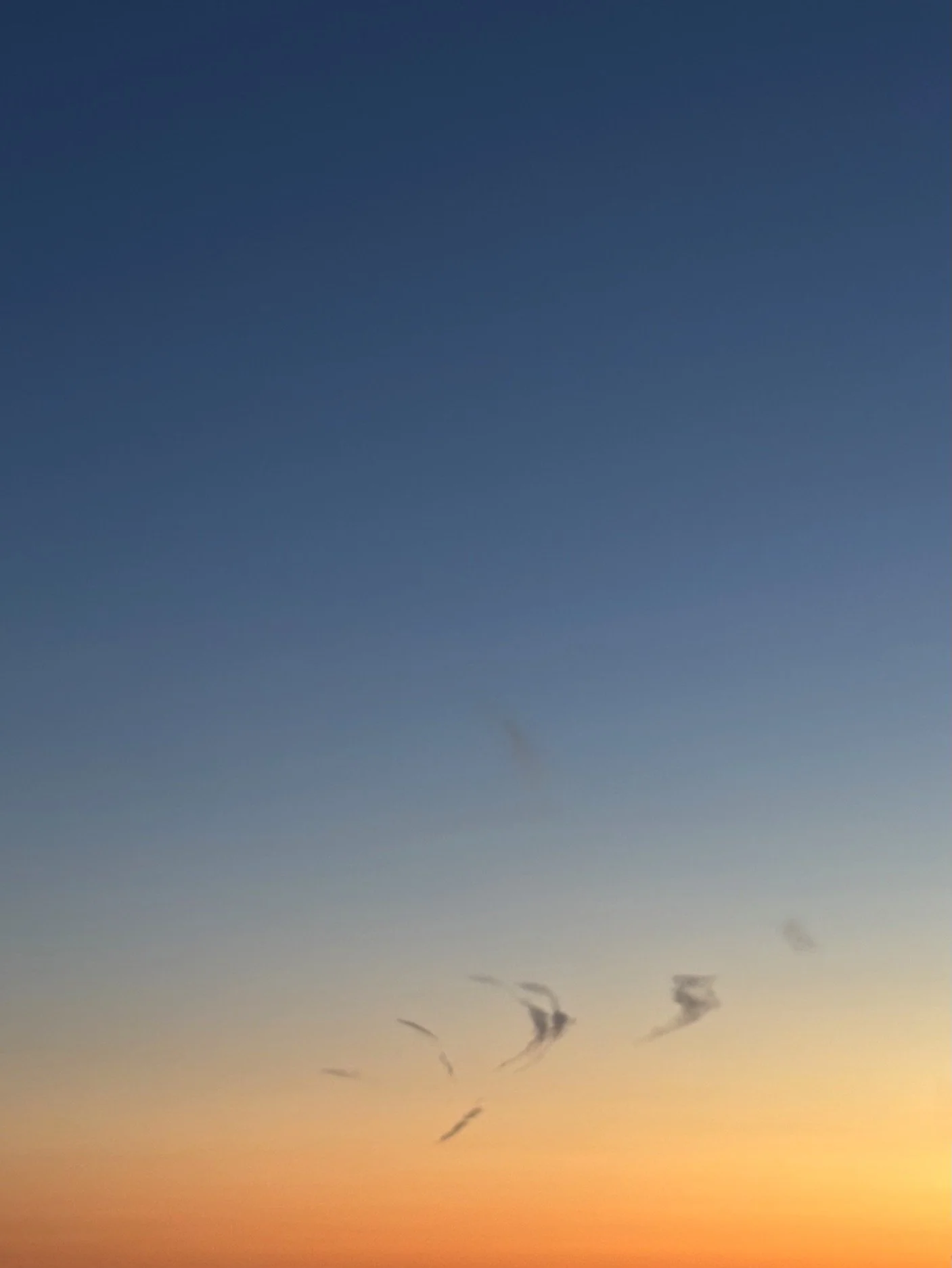13.08.2026 21:34