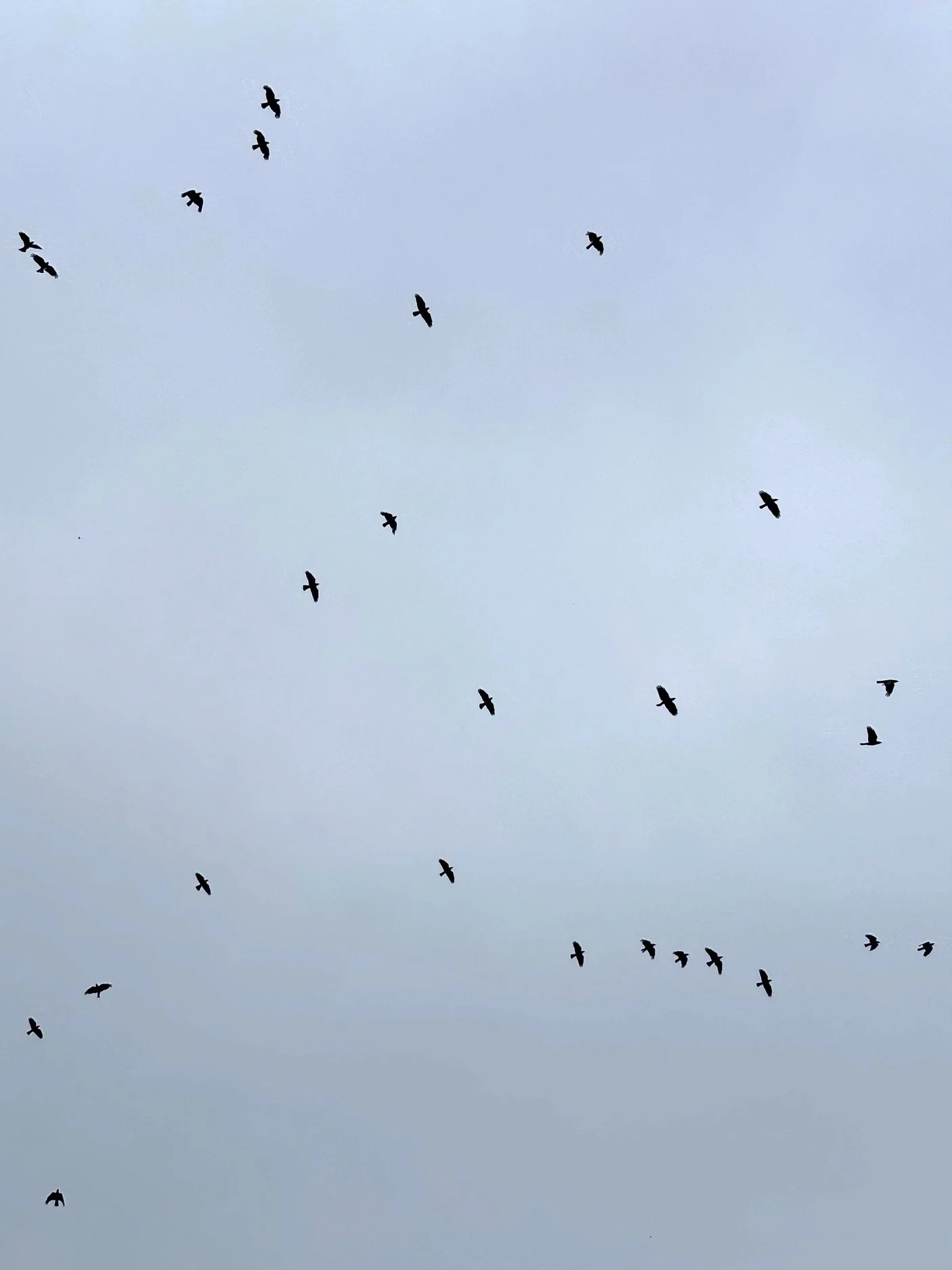 28.06.2026 16:16